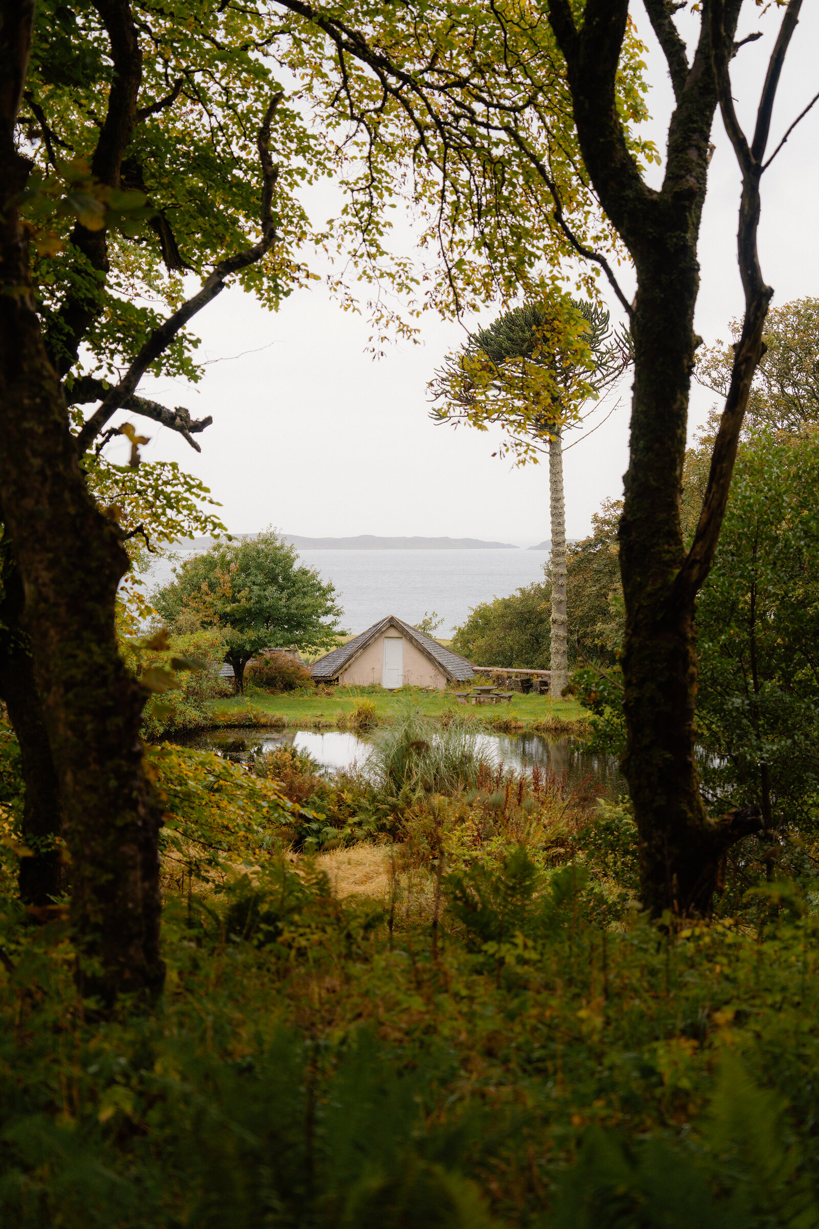 A white house with a tall monkey puzzle tree sits beside a pond overlooking the sea, framed by autumn trees.