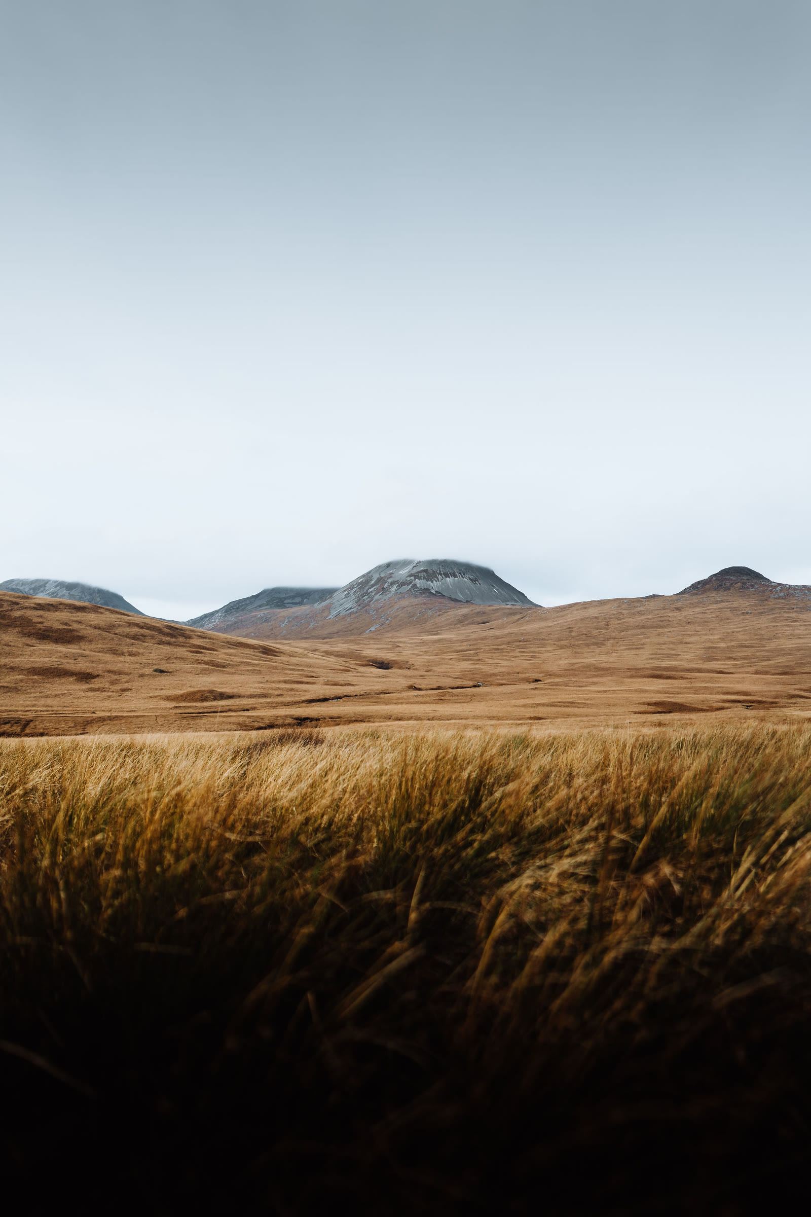 The tops of the Paps of Jura above moor grass.