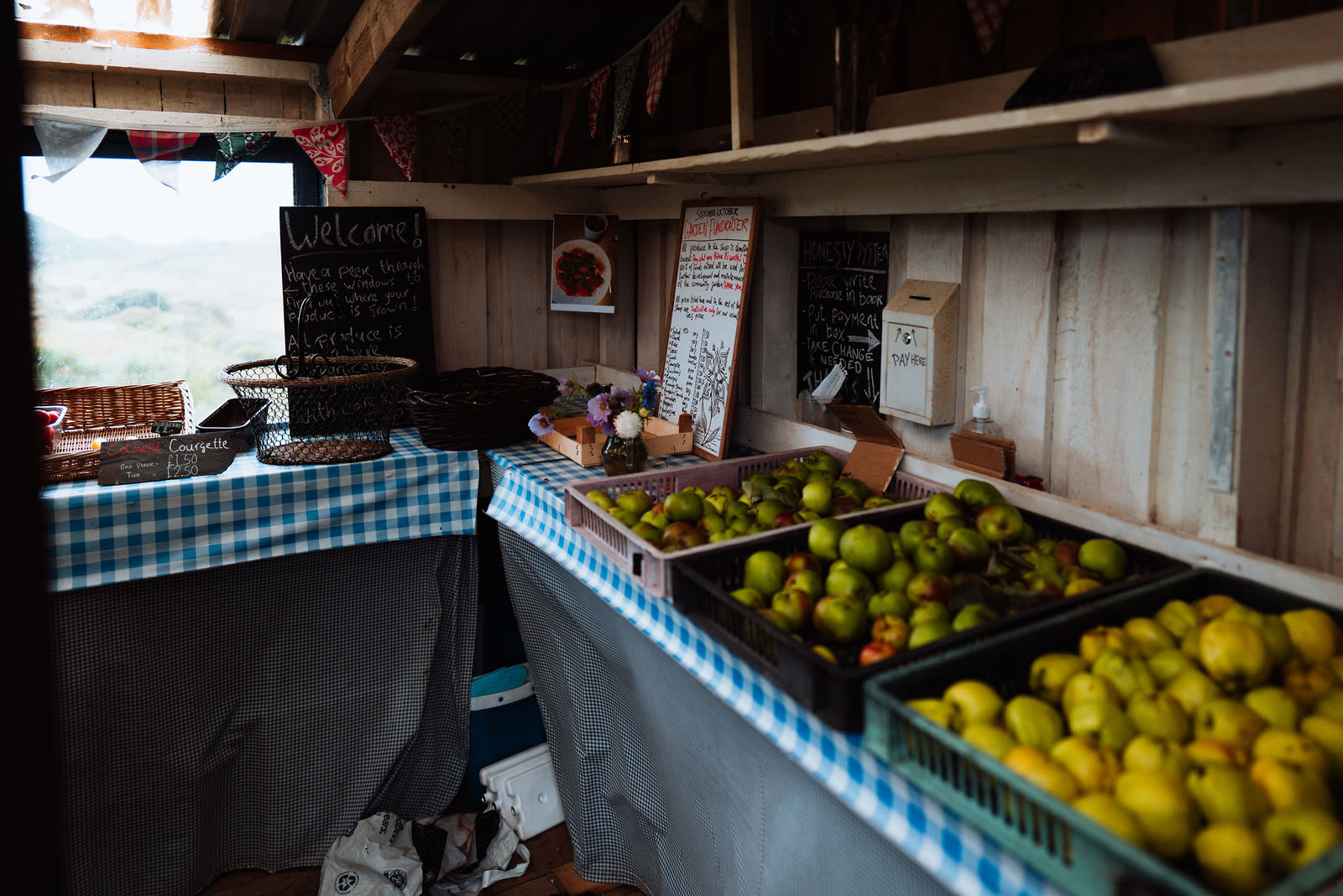 Crates of apples on a gingham cloth inside the Community Garden Shop at Kilchoan.