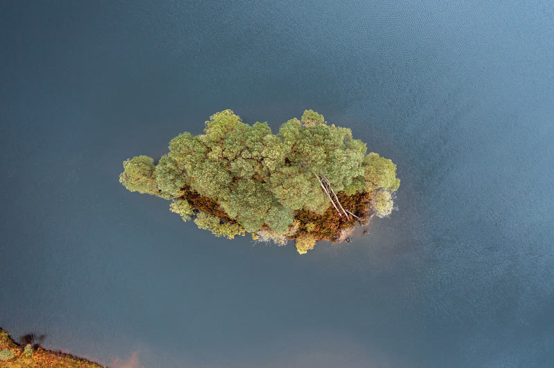 Looking straight down on a pine-covered island in Loch Eilt.