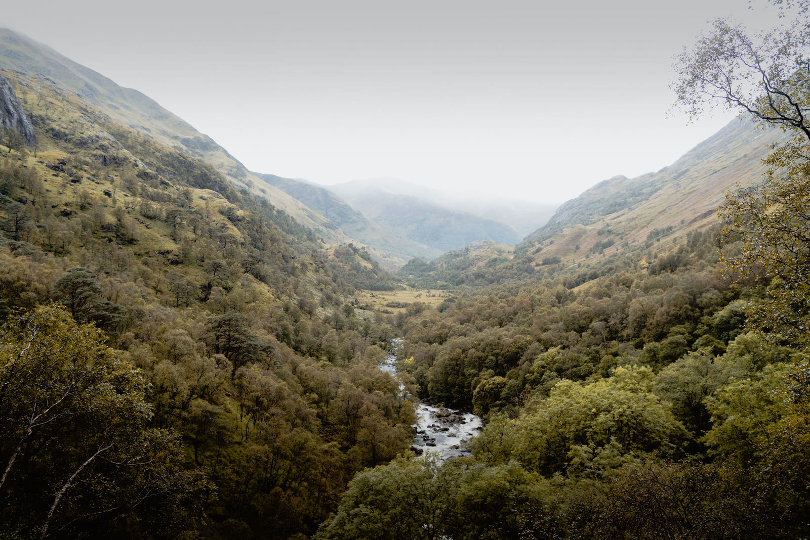 The wooded Nevis Gorge opening onto the flat meadow of upper Glen Nevis.