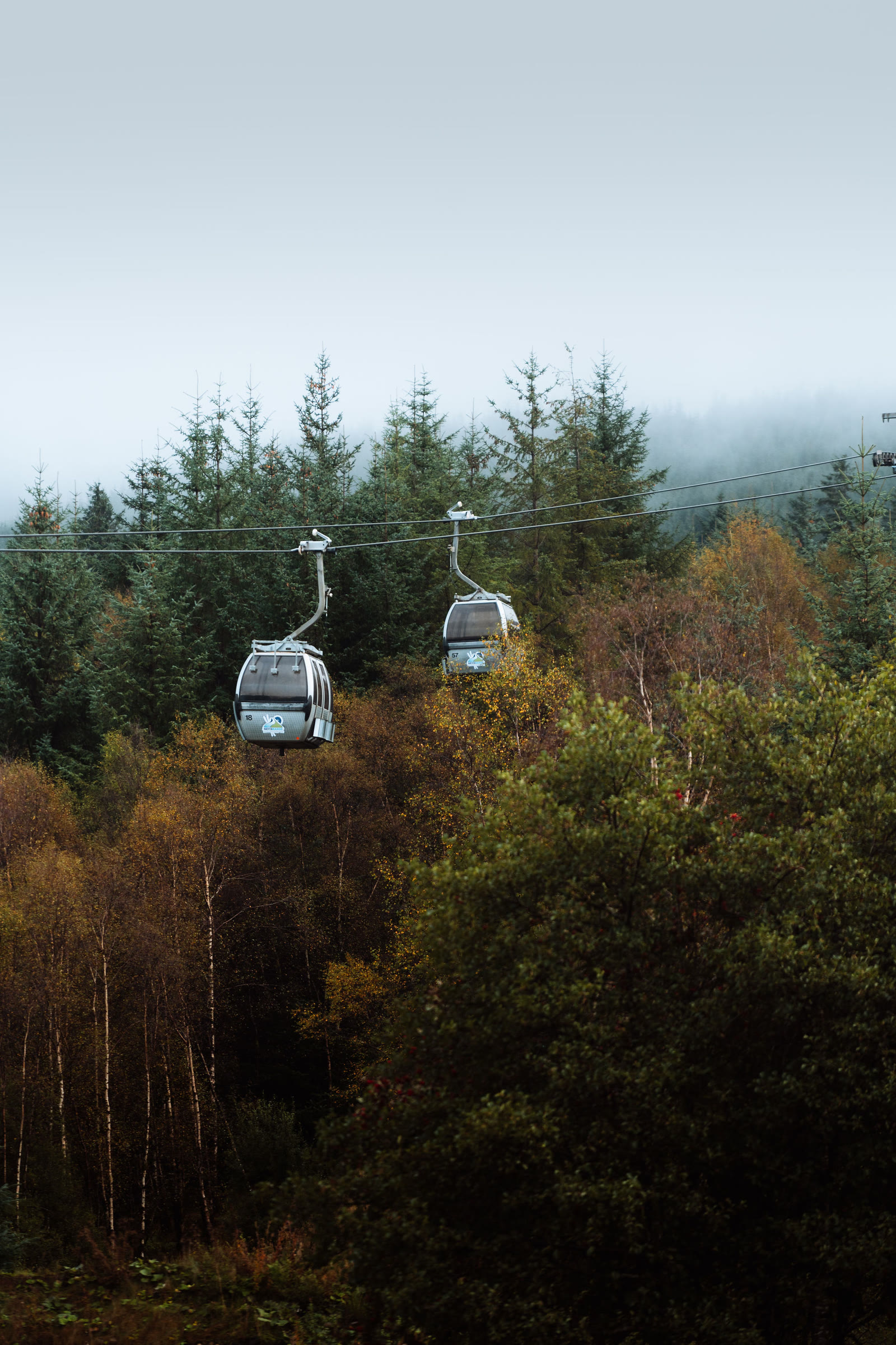 Two Nevis Range gondola cars passing above the forest in low cloud.