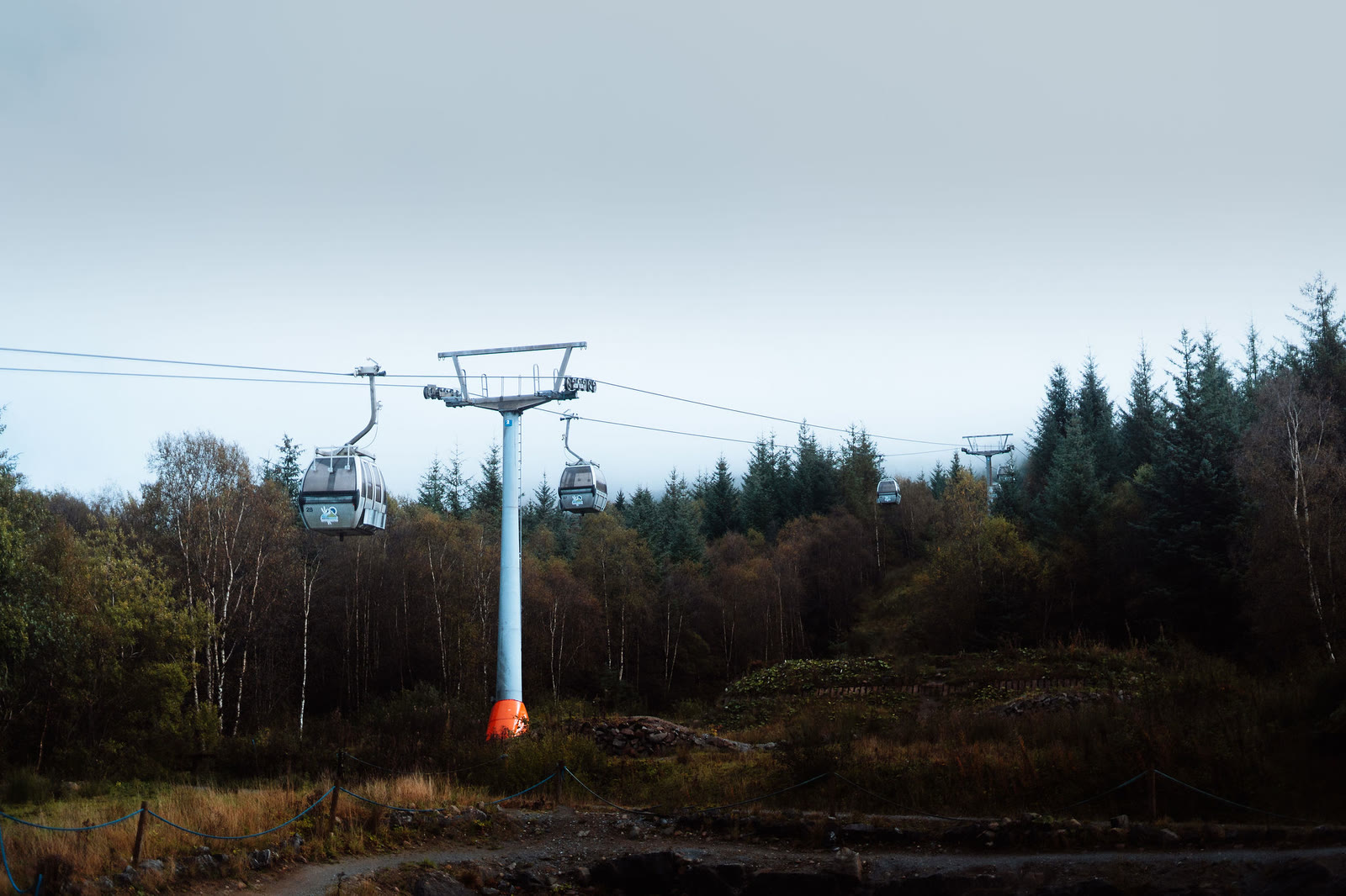The Nevis Range gondola line crossing above birch and pine.