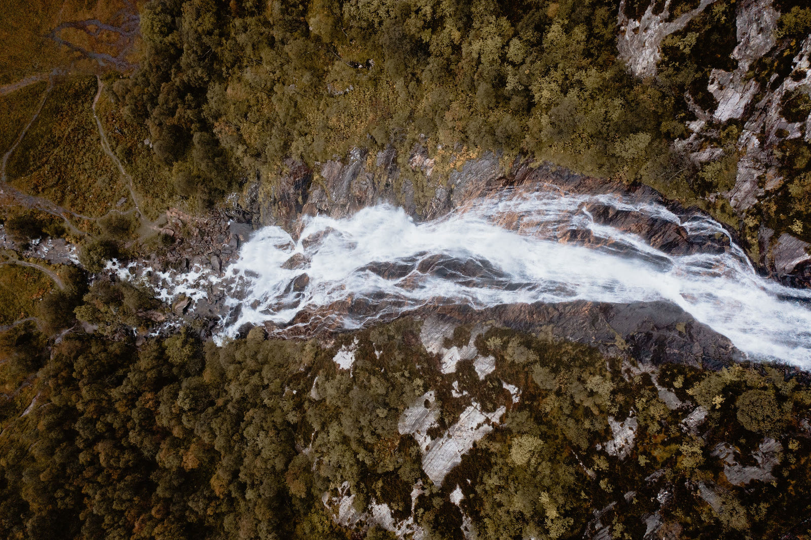 Looking straight down on Steall Falls as the water fans white across the rock between the trees.