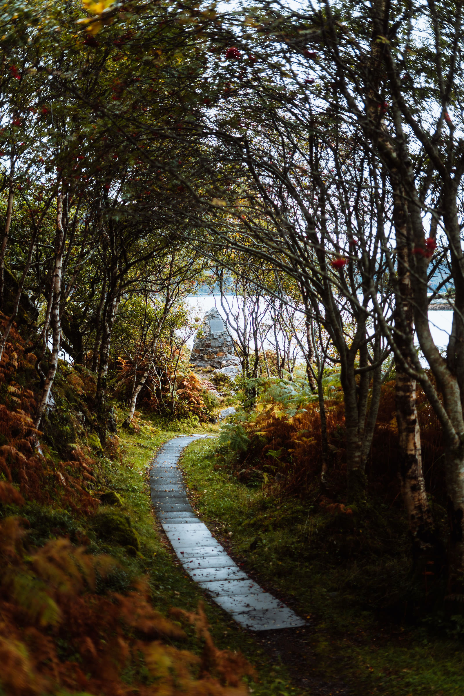 The path through birch and bracken down to the Prince's Cairn on Loch nan Uamh.