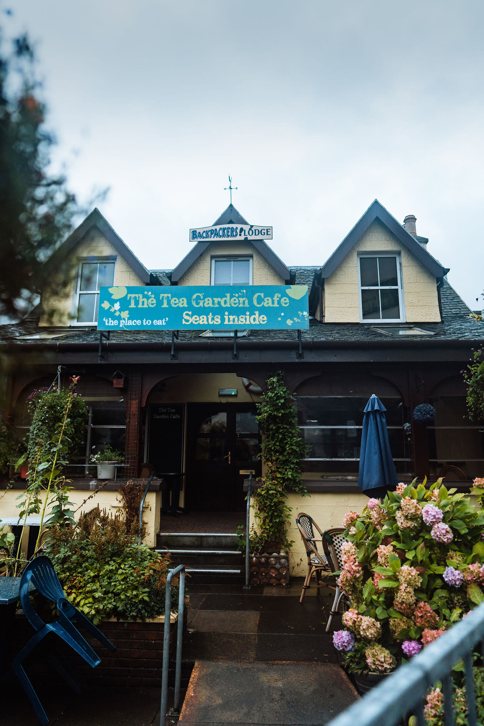 The Tea Garden Cafe in Mallaig, hydrangeas in front of its yellow gables.