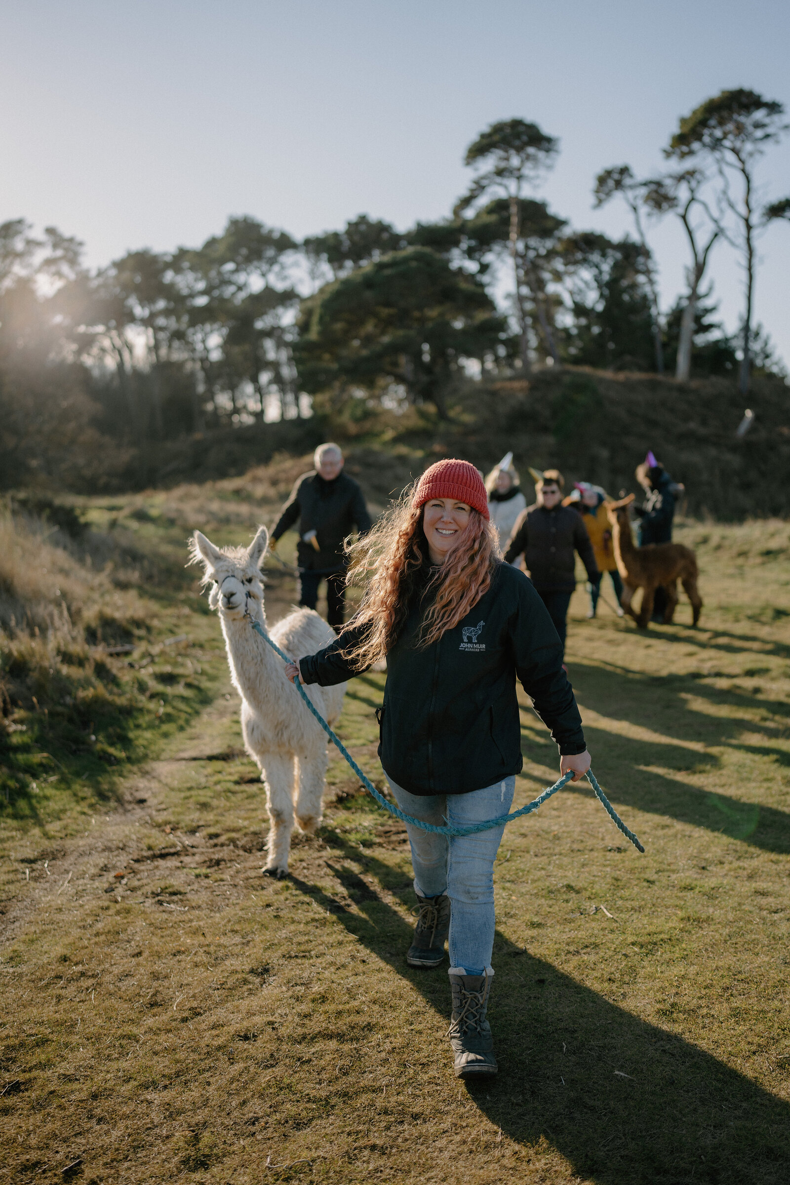 A woman in a red beanie leads a white alpaca on a lead across a sunlit field, other walkers and alpacas following behind among trees.