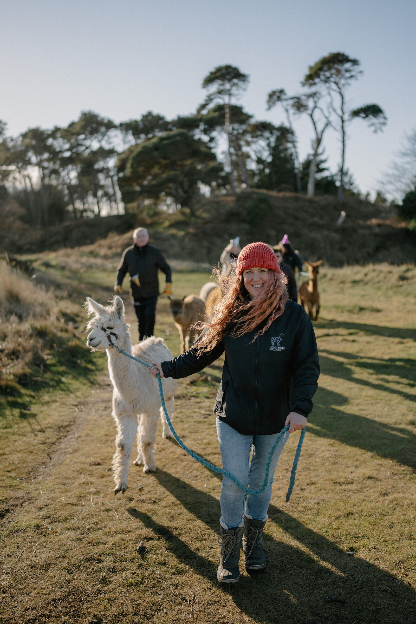 A smiling woman in a red beanie leads a white alpaca on a lead across a sunlit field, other walkers and alpacas following behind among trees.