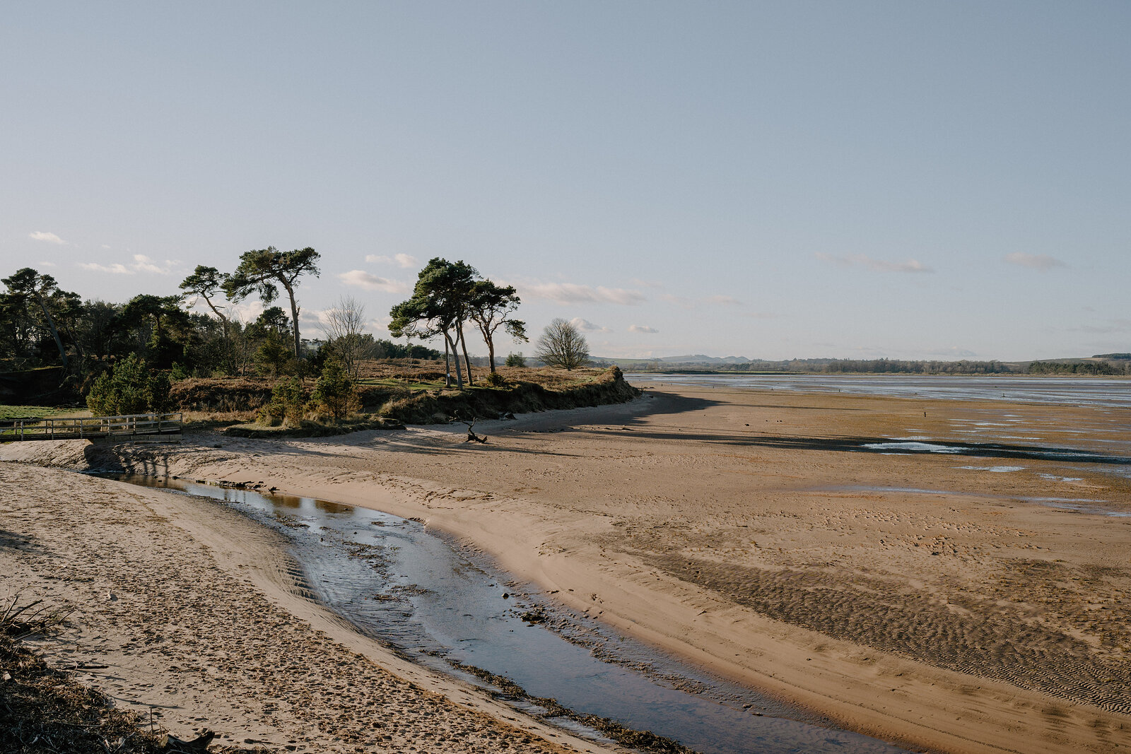A tidal river winds through sandbanks toward the sea, pine trees clustered on a low headland at the water's edge.