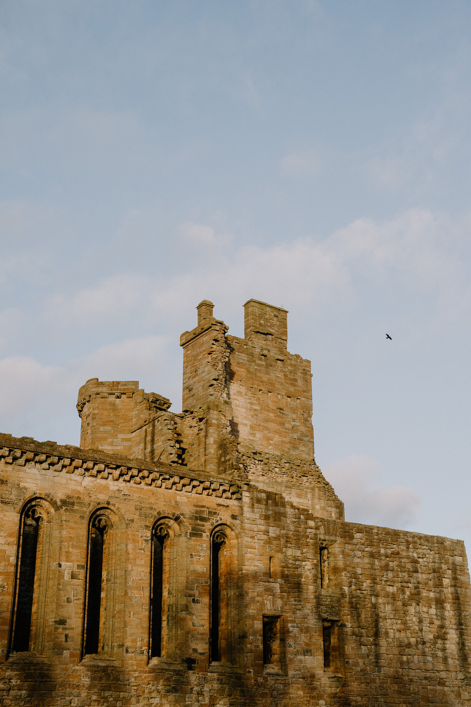 A ruined sandstone castle tower with a crow-stepped gable and arched windows catches warm evening light, a bird flying past.