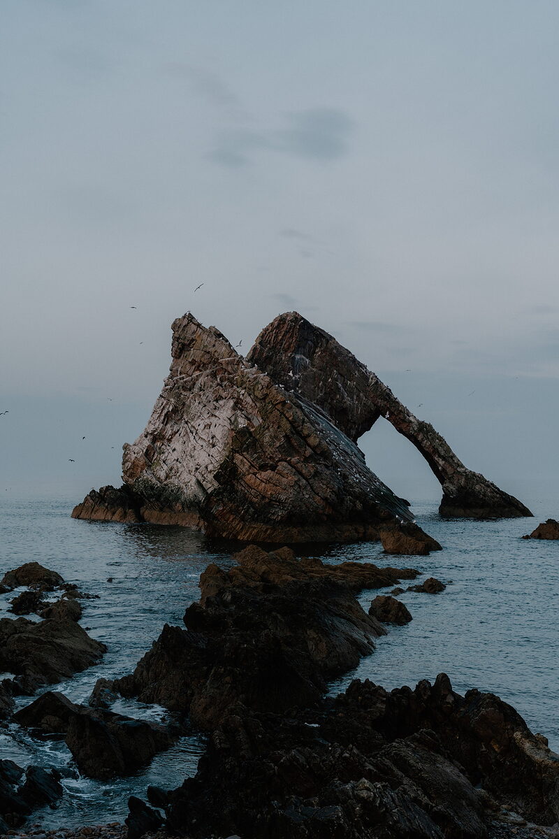 Seabirds circle a fin-shaped sea arch rising from the water off the Moray coast.
