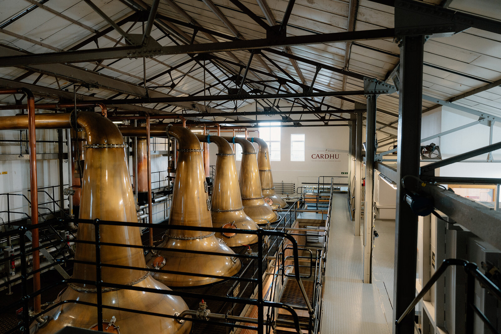 Copper pot stills curve upward in a row beneath a raftered roof, with 'CARDHU' lettered on the wall behind.