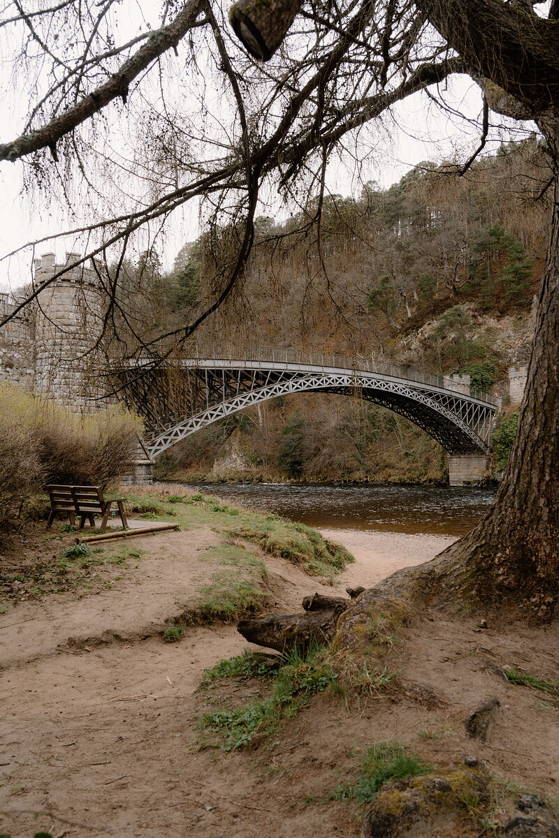 A bare tree frames a view of Craigellachie Bridge arching over the River Spey, with a bench on the bank.