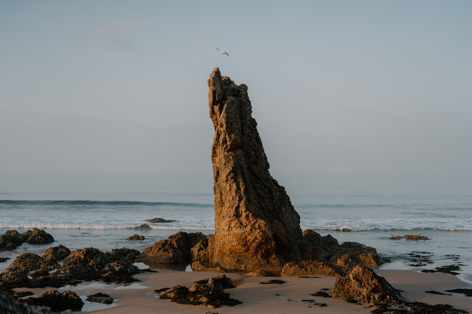 Two gulls perch atop a tall, narrow sea stack rising from a Moray beach at golden hour.