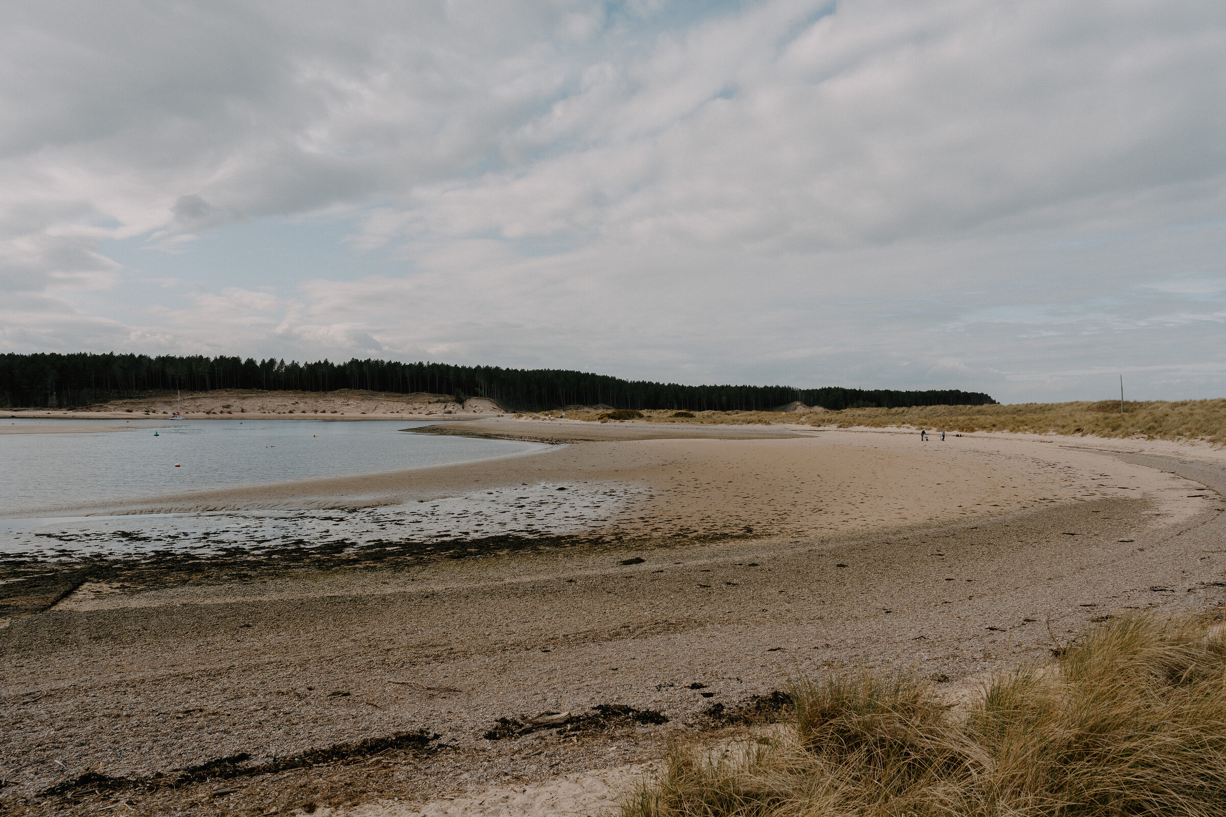 Winter birds on Findhorn Bay