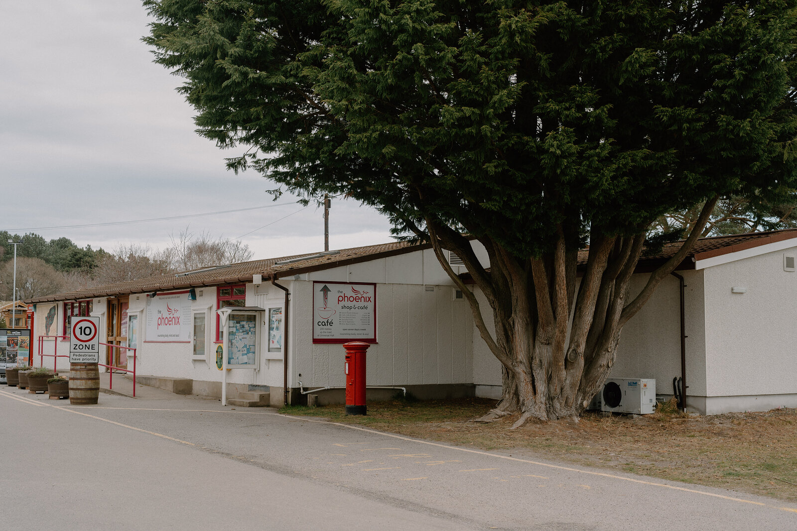 The Phoenix shop's storefront sits beneath a large yew tree at the Findhorn Foundation, Moray.