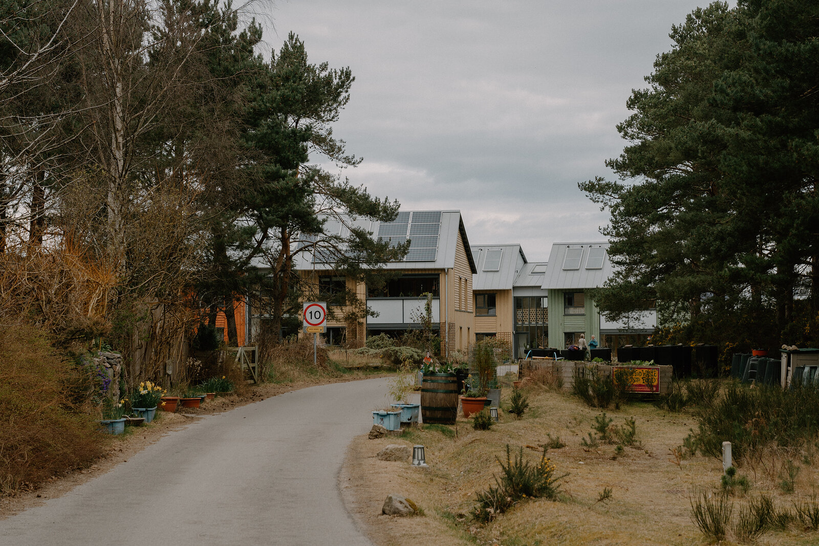Timber eco-houses with solar panels line a lane through pine trees at the Findhorn Foundation, Moray.