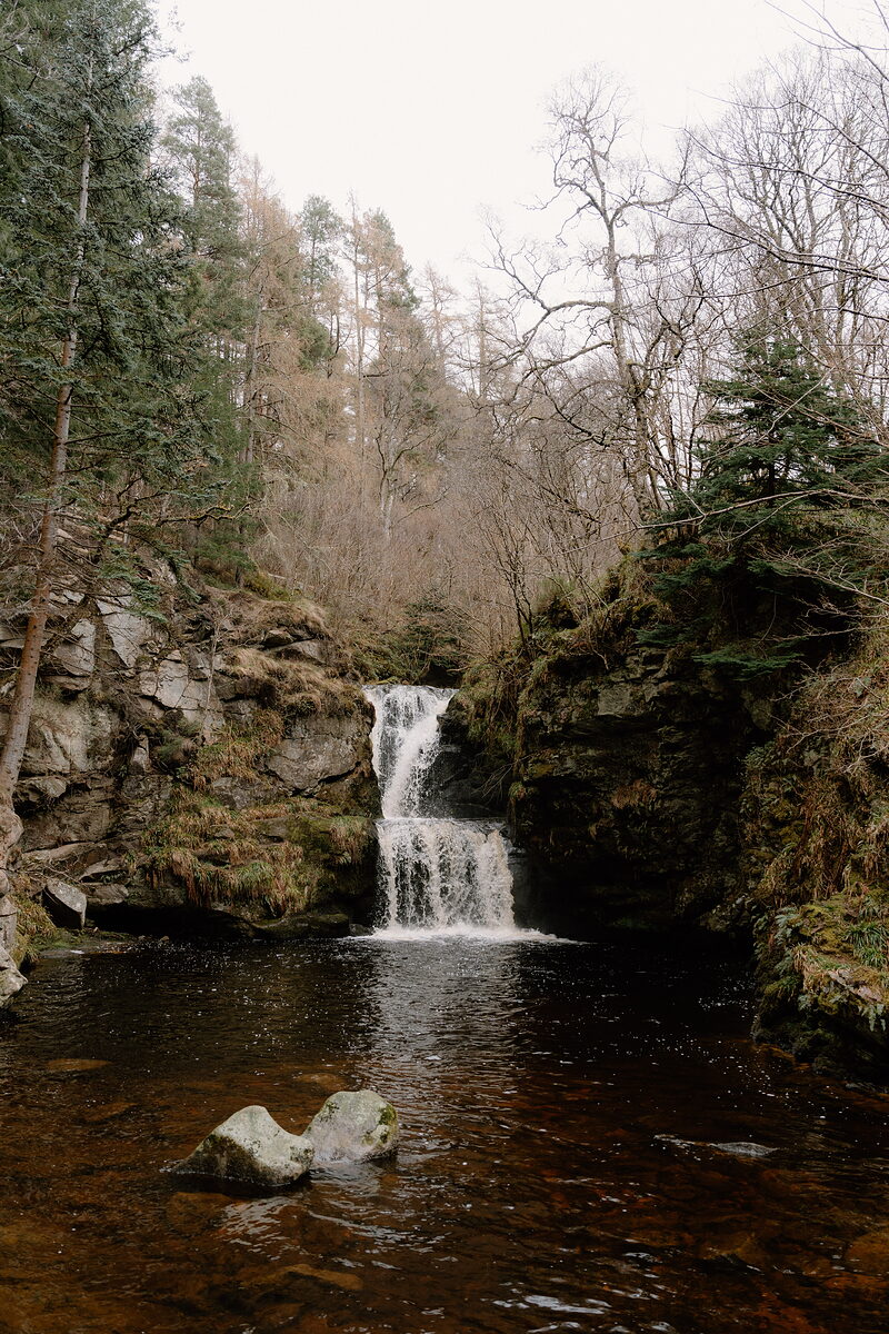 A waterfall drops through a Moray gorge framed by pine and bare trees.