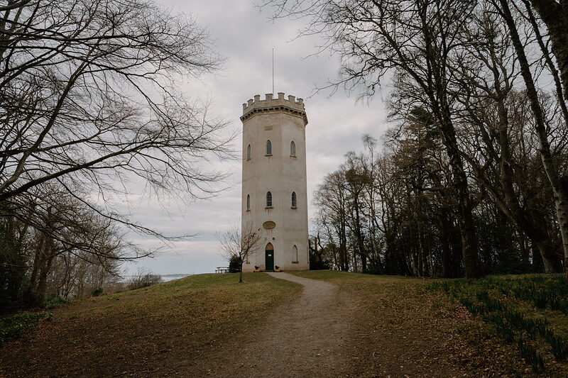 Bare winter trees frame Nelson's Tower's whitewashed form on Cluny Hill near Forres.