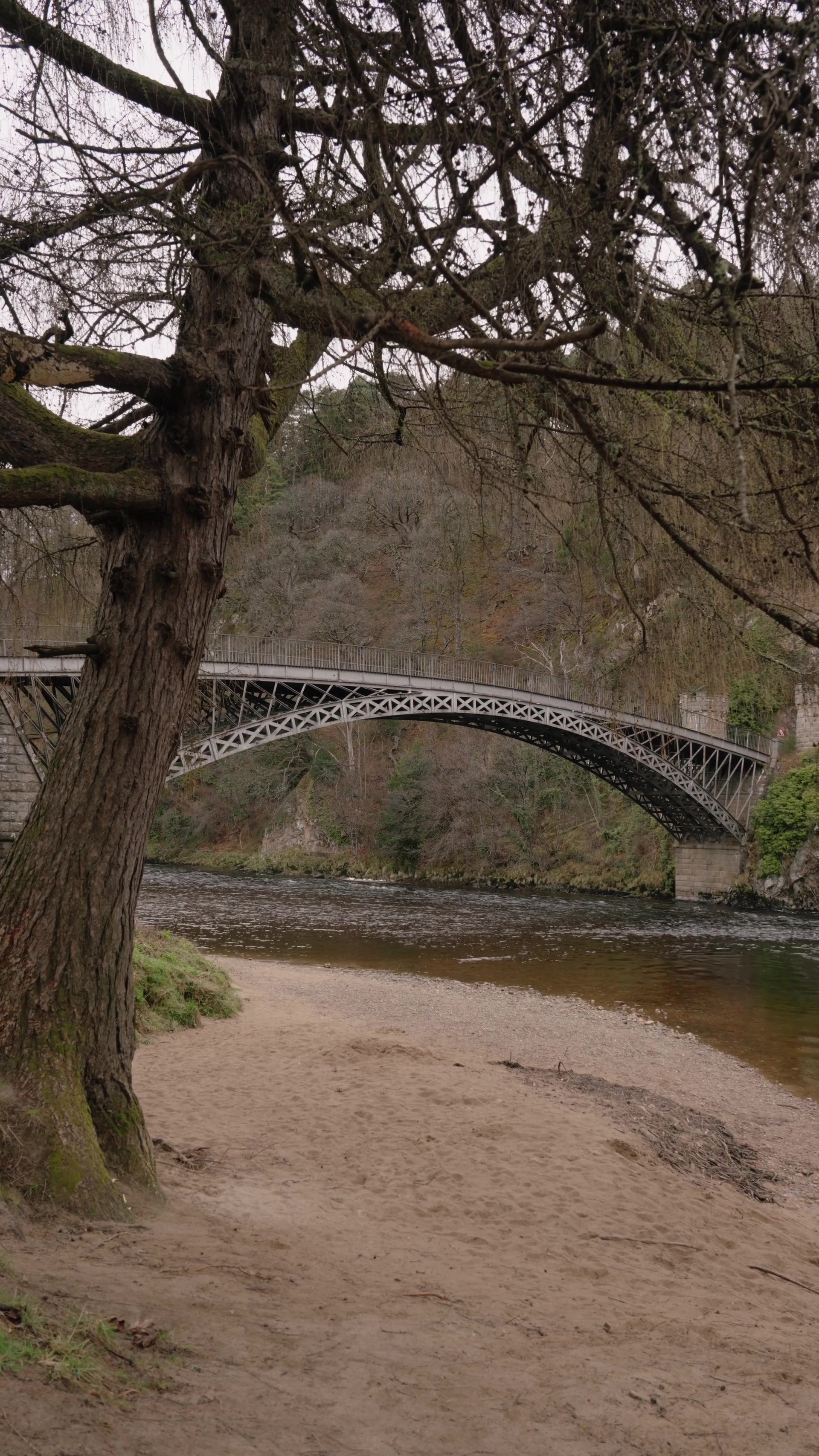 A wrought-iron arched bridge spans a river between wooded, moss-covered banks, a pine tree framing a sandy shore in the foreground.