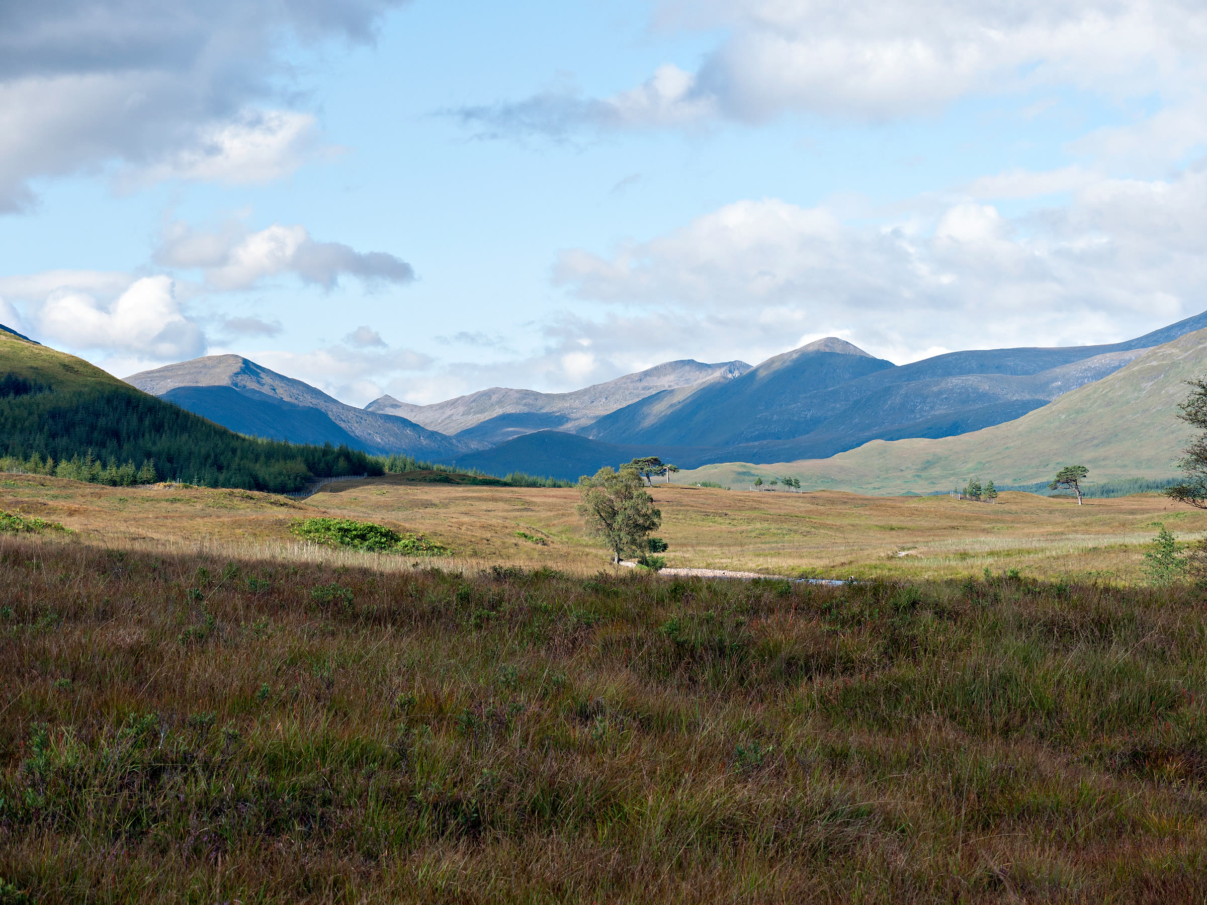 Ben Starav, Beinn nan Aighenan and Glas Bheinn Mhòr on the skyline, looking west from the West Highland Way south of Victoria Bridge.