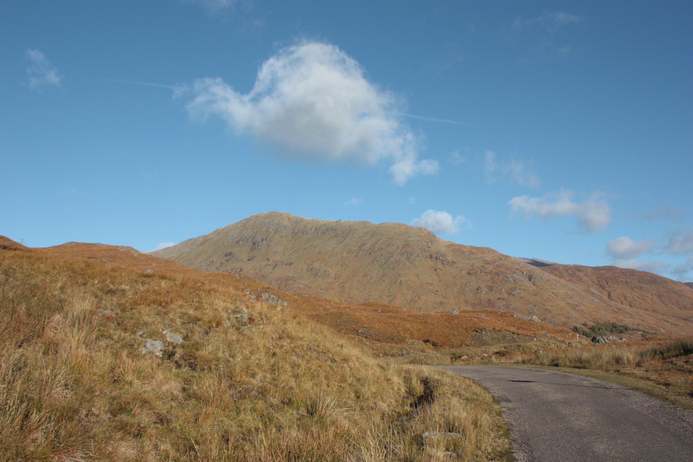 Gleouraich above the single-track road, autumn grass in front and a blue sky behind.