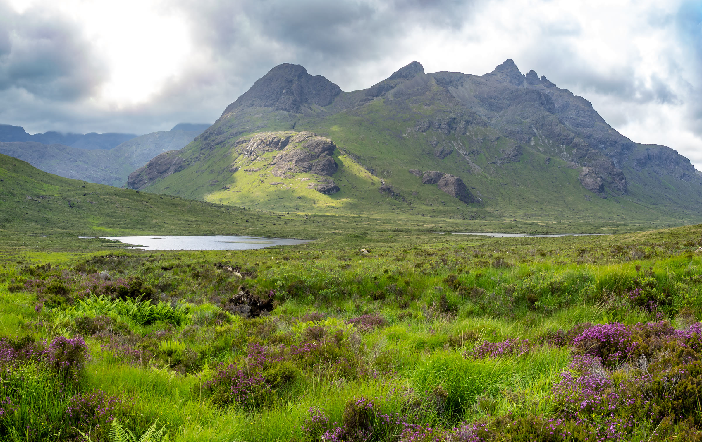 Sgùrr nan Gillean and Bruach na Frìthe above a lochan and green moorland, heather in flower in front.