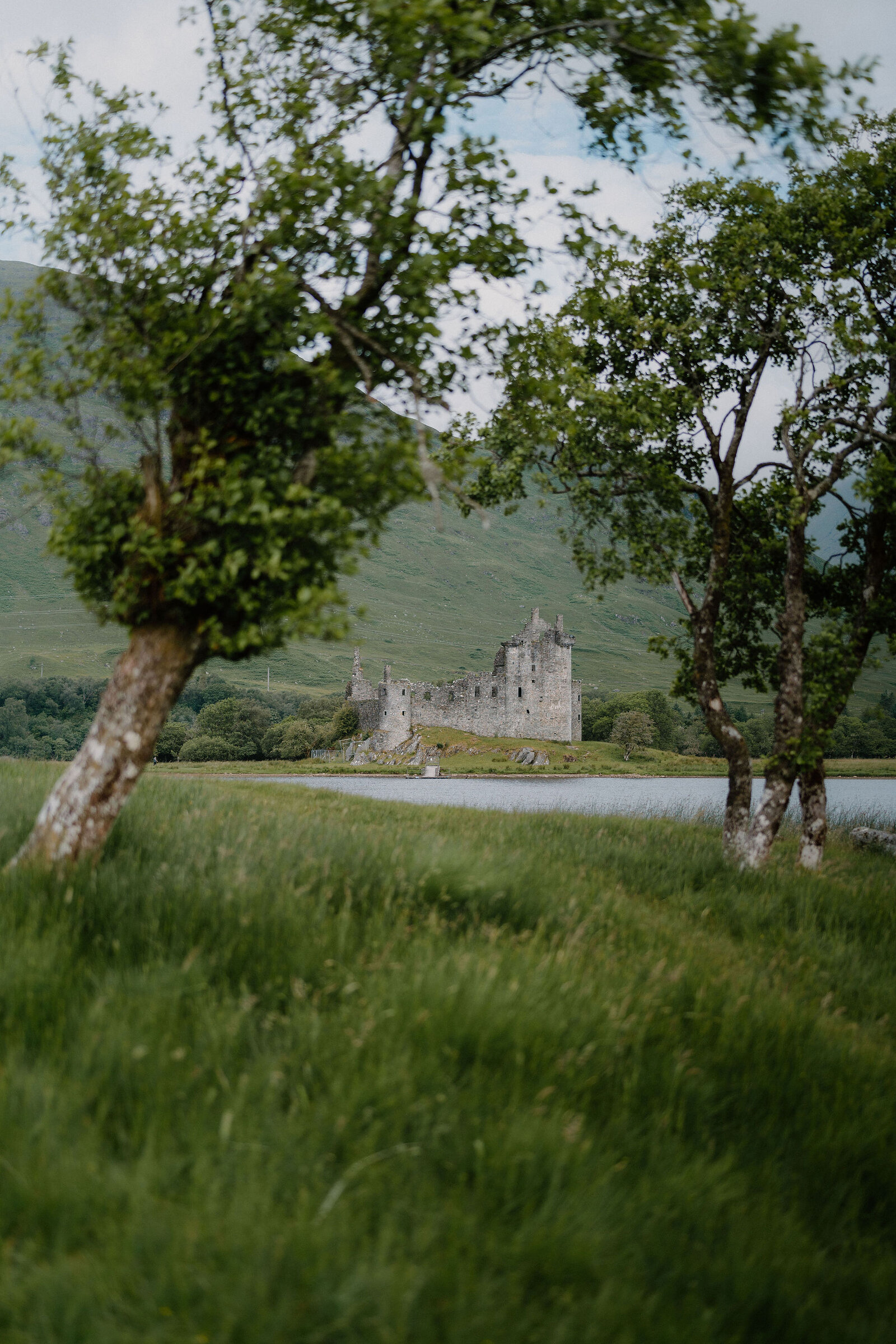 The ruined towers of a lochside castle are framed between two birch trees, mountains rising behind and long grass filling the foreground.