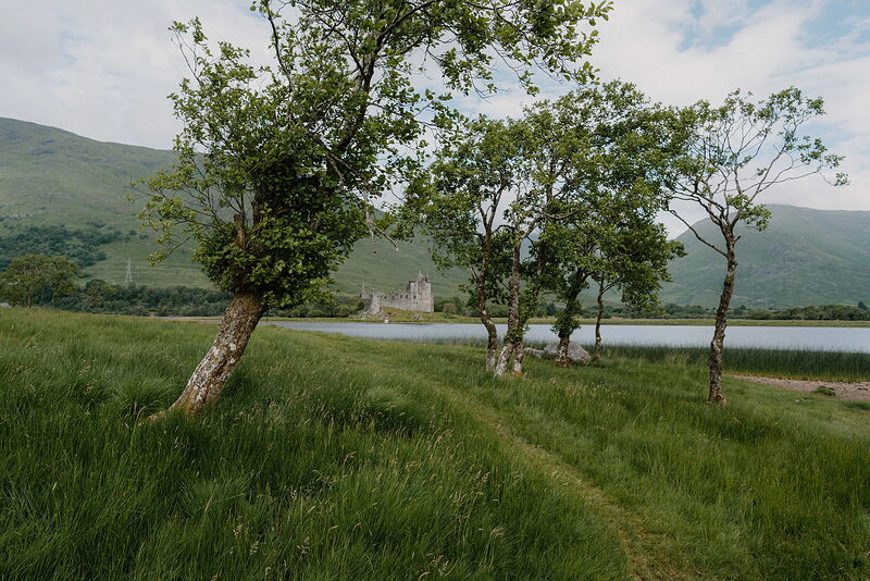 The ruined towers of a lochside castle are seen between wind-bent trees, hills rising along the water's edge.