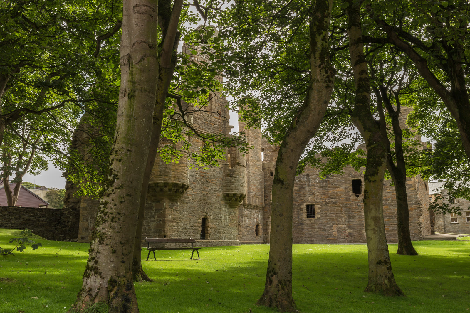 The Earl's Palace in Kirkwall seen through tall trees across its lawn, a bench in the shade, Orkney.