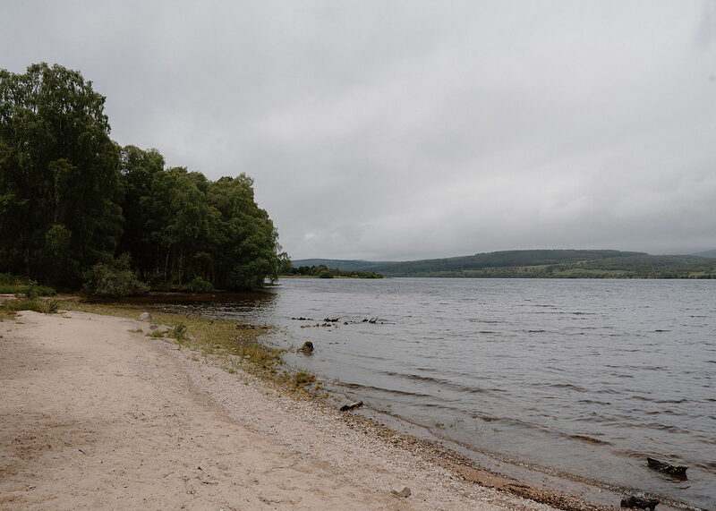 A sandy, shingly shore curves to a point of birches on the left, with a wide loch and forested hills beyond.