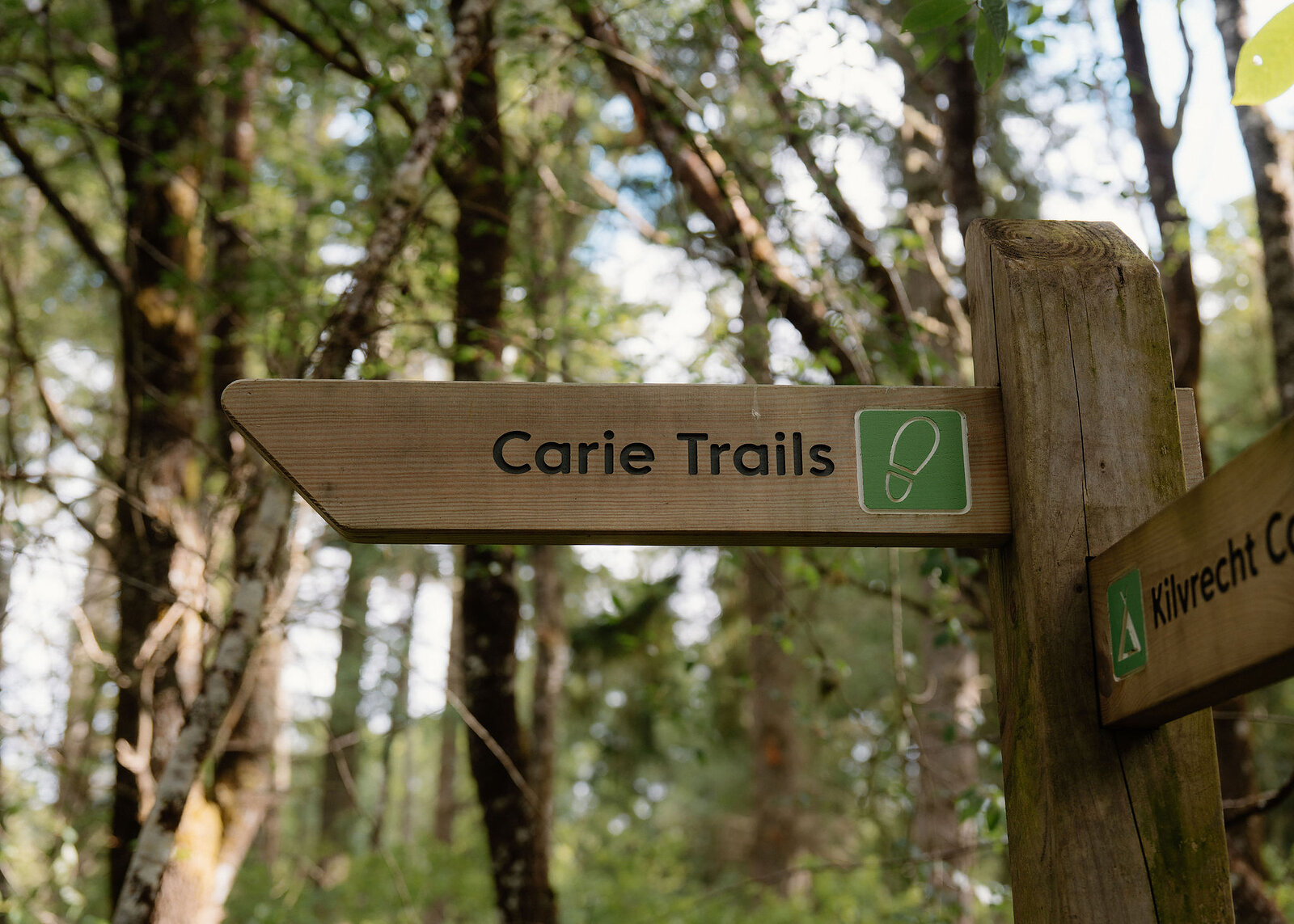 A wooden fingerpost in the woods, one arm pointing to the Carie Trails, the other to Kilvrecht Campsite.