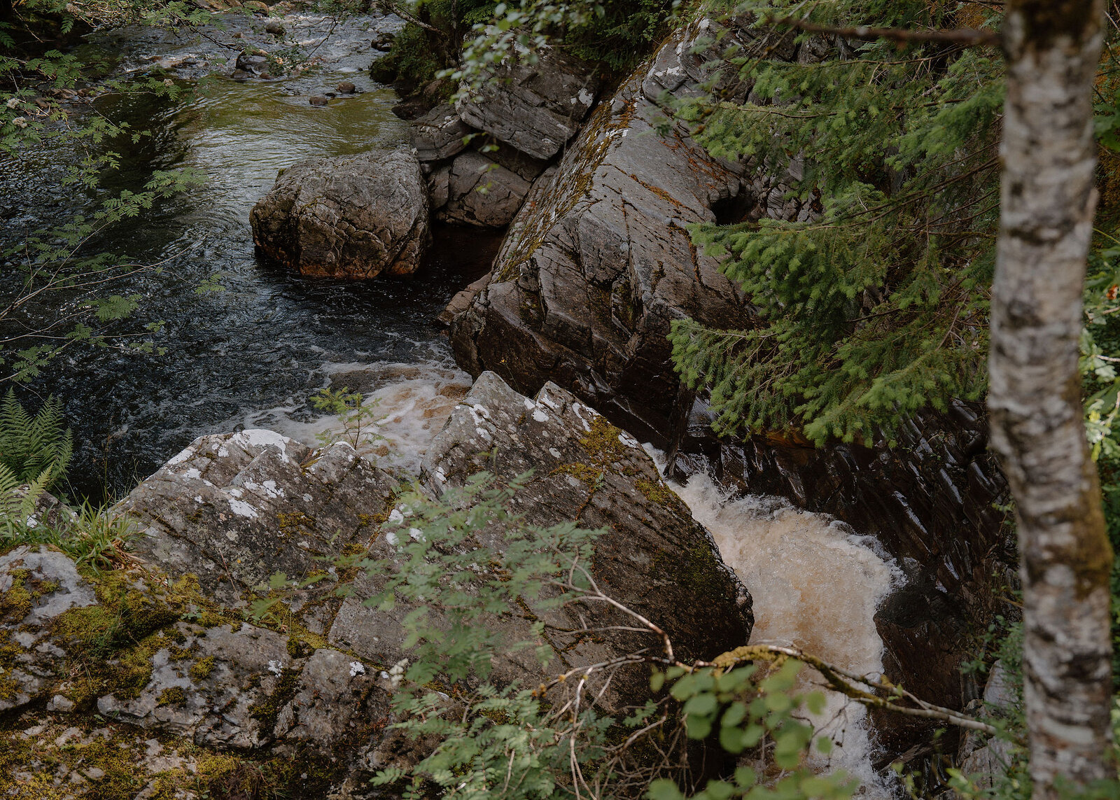 Looking down from the path on the burn, white water pouring past tilted, lichen-spotted rock slabs, a birch trunk at the edge.