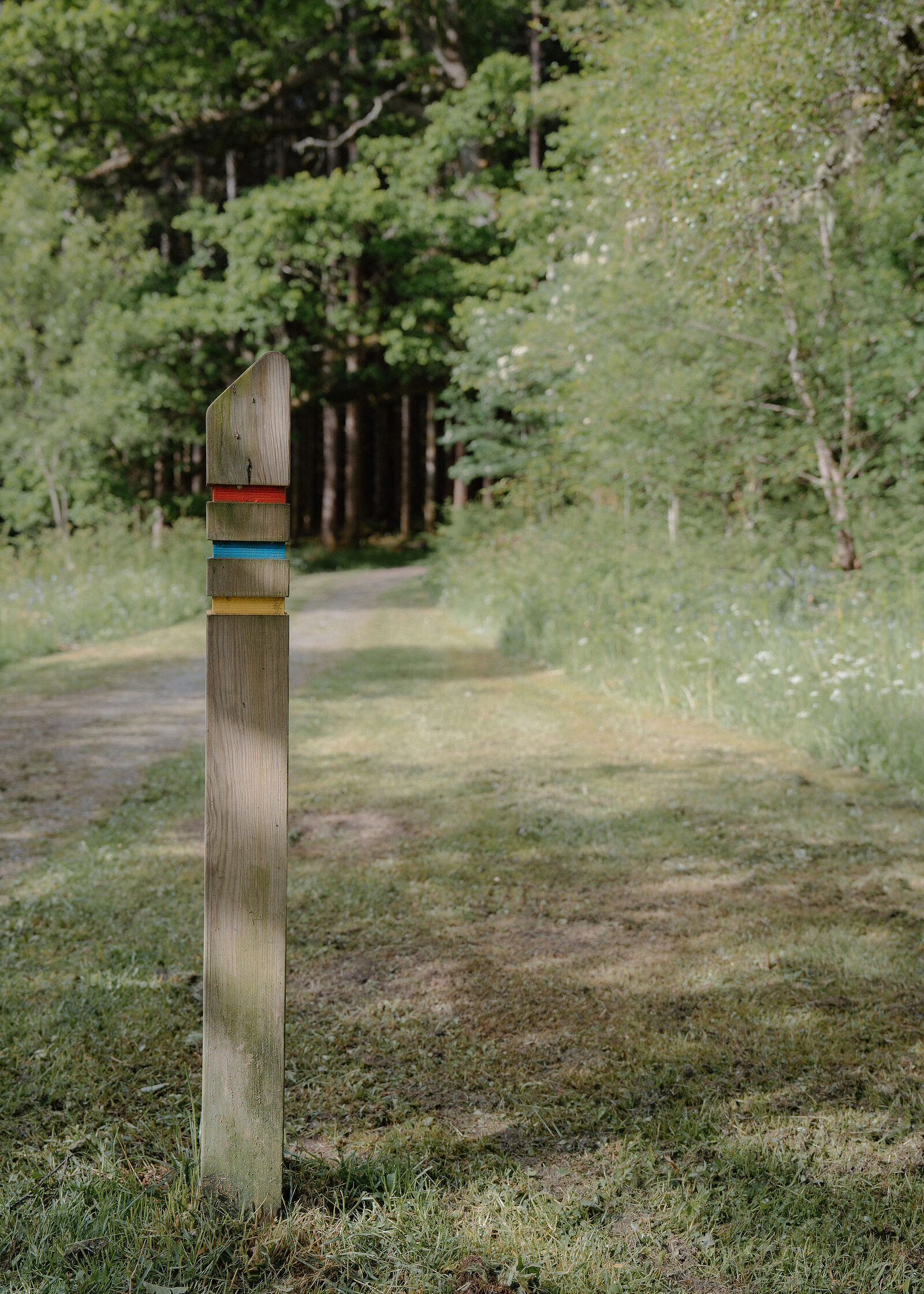 A wooden waymarker with red, blue and yellow bands beside a grassy forest track, birches and conifers behind.