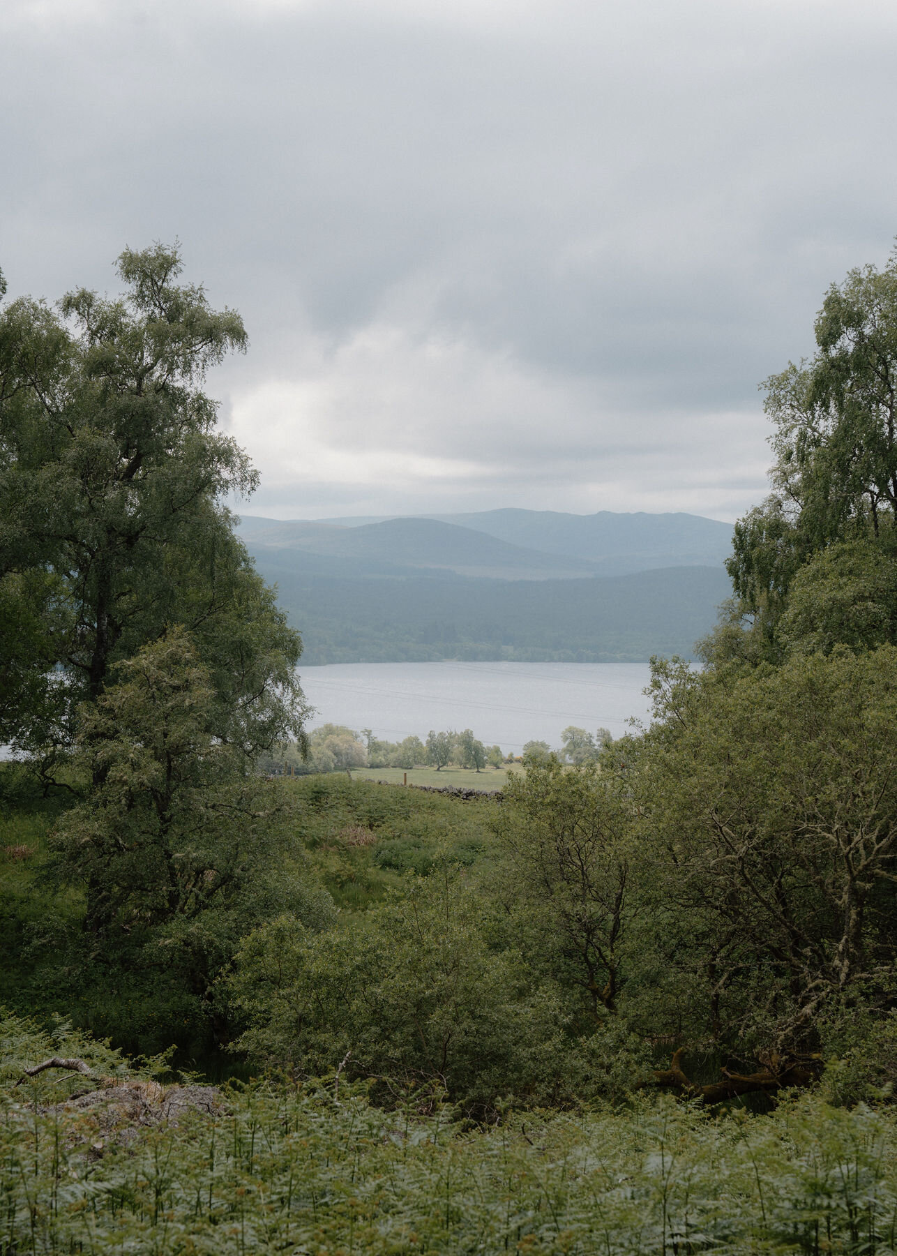 Loch Rannoch and layered hills beyond appear through a gap in birch trees, above a field, drystone wall and bracken.