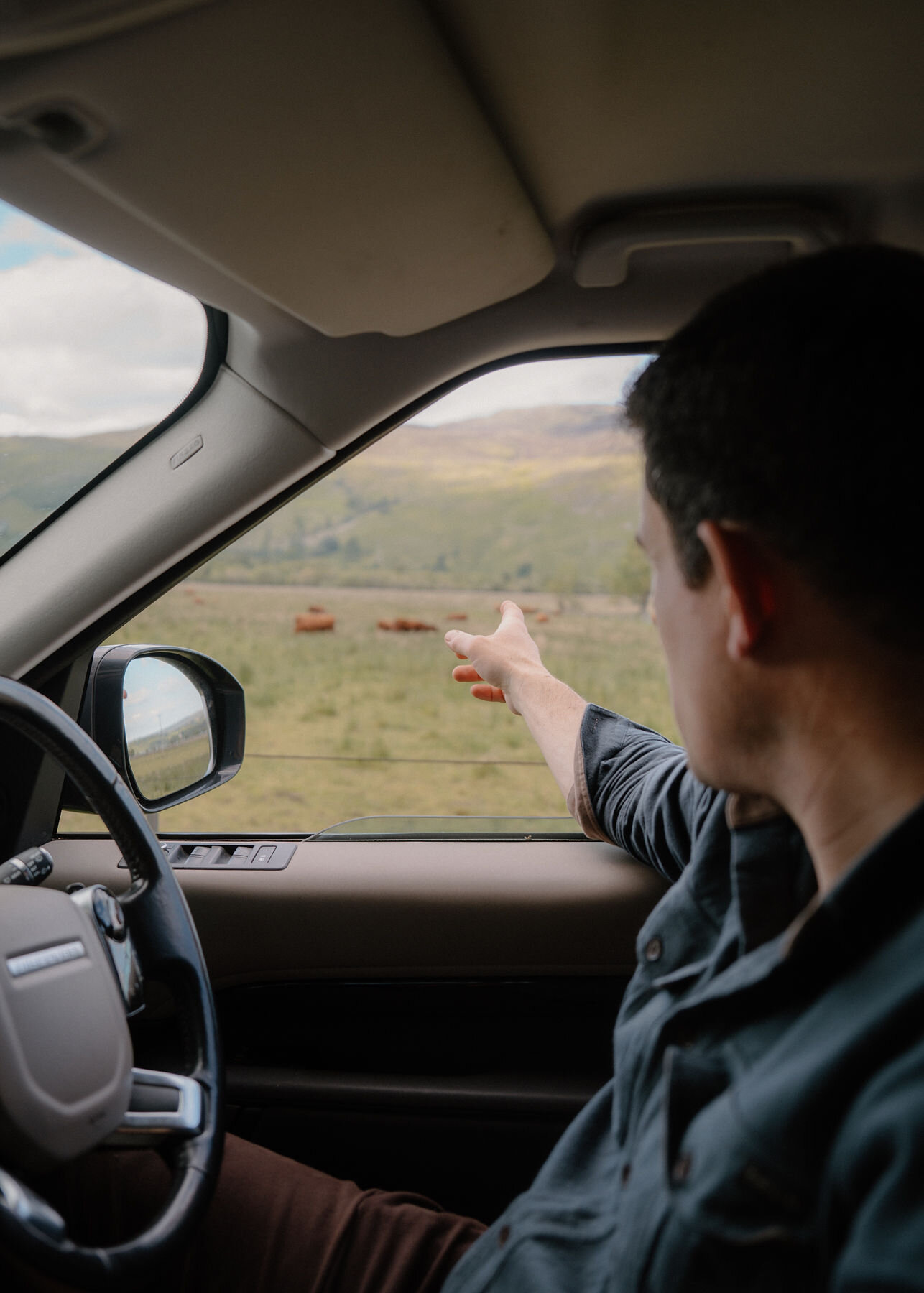 A man at the wheel of a Land Rover points out of the open window, past the wing mirror, at red cattle grazing below the hills.