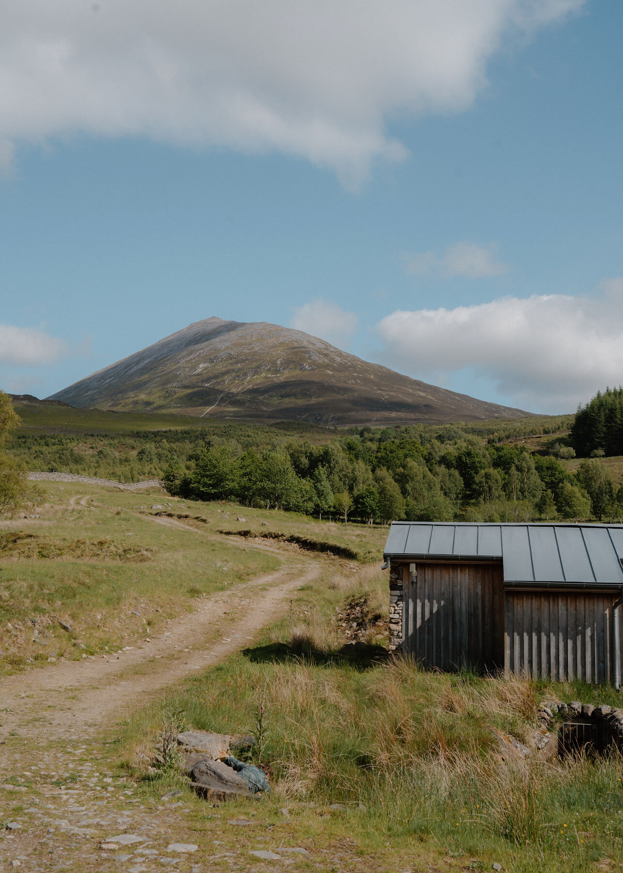 Schiehallion's cone rises beyond birch woods above a winding farm track and a timber hut with a metal roof, a child tucked among the rocks.