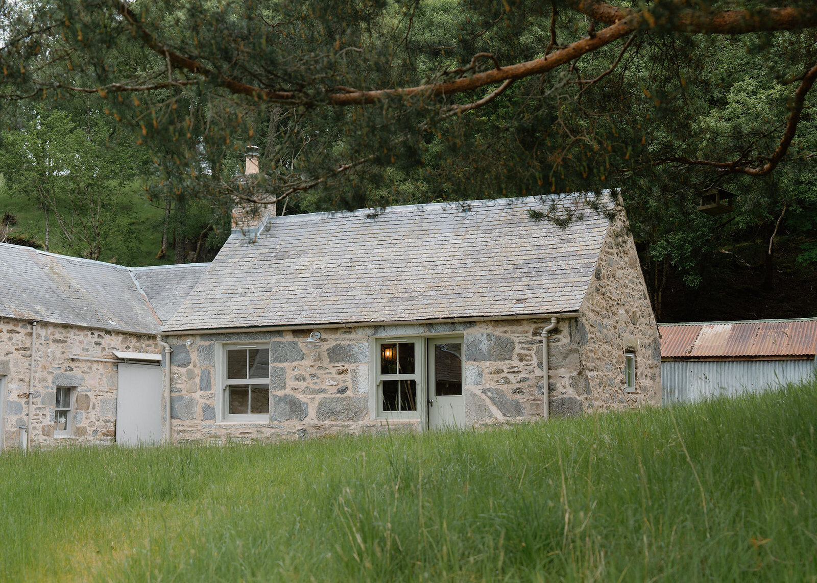 A small stone bothy joined to a stone steading, seen across long grass under a Scots pine bough, a corrugated shed to the right.