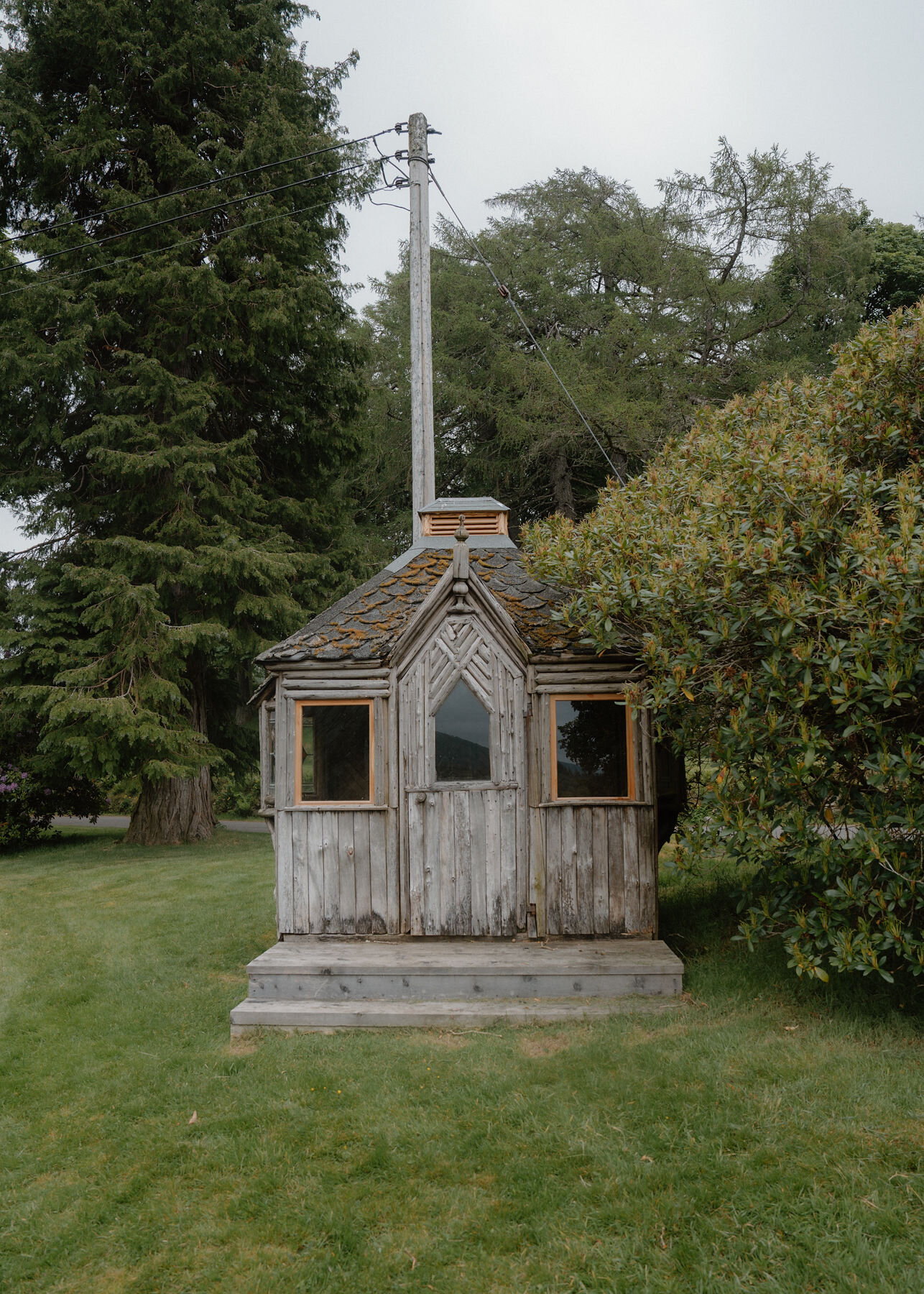 A weathered timber summer house with a lichen-covered shingle roof and pointed window stands on a lawn beside a rhododendron and tall conifers.