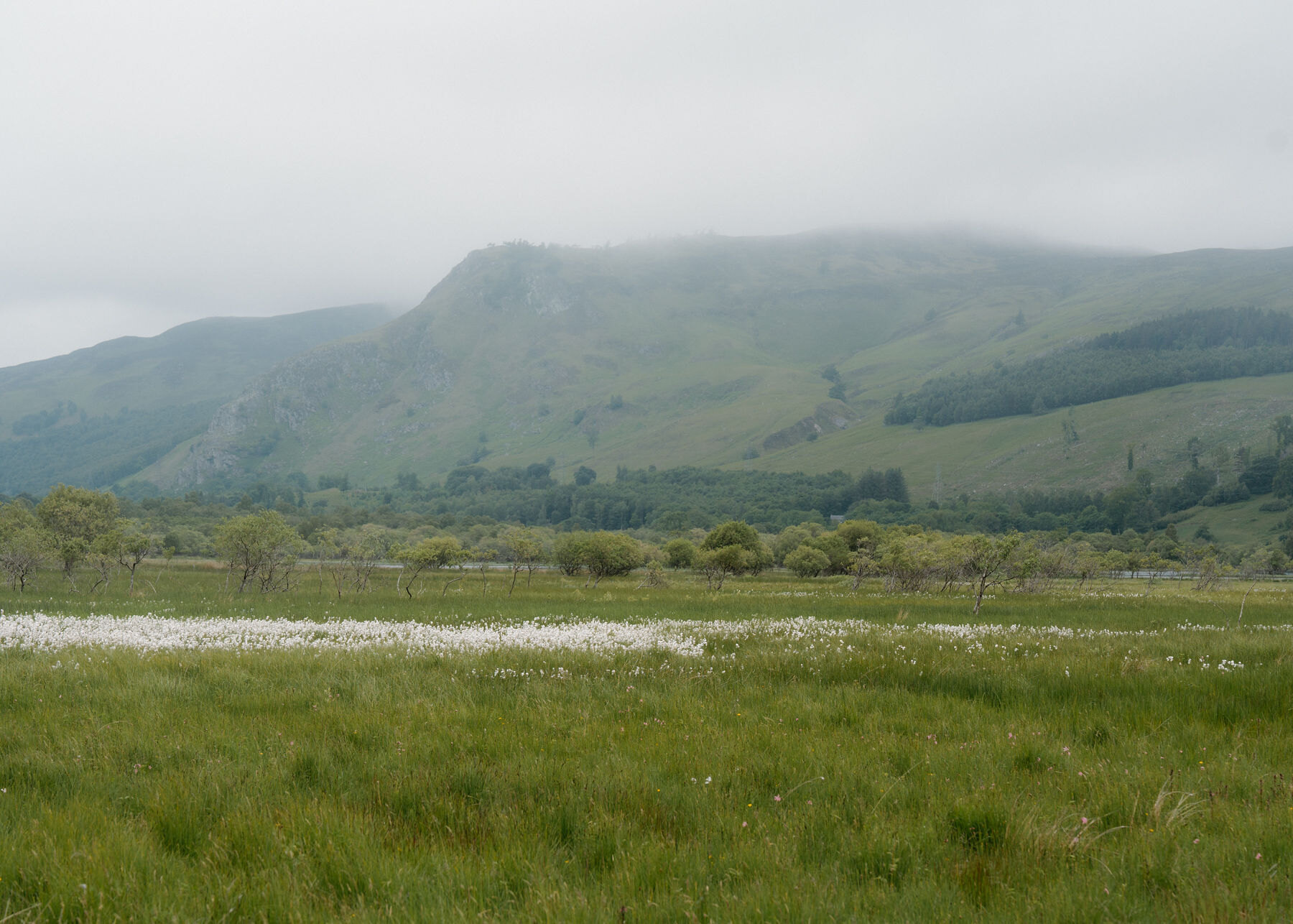 Wide landscape of the glen with bog cotton, scattered trees and river flats below a crag and forestry, the hilltop lost in cloud.