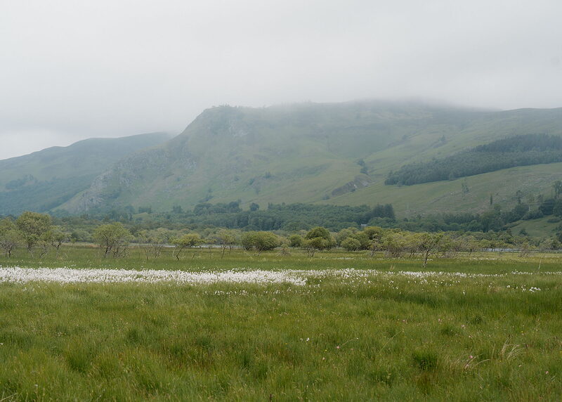 Wide landscape of the glen with bog cotton, scattered trees and river flats below a crag and forestry, the hilltop lost in cloud.