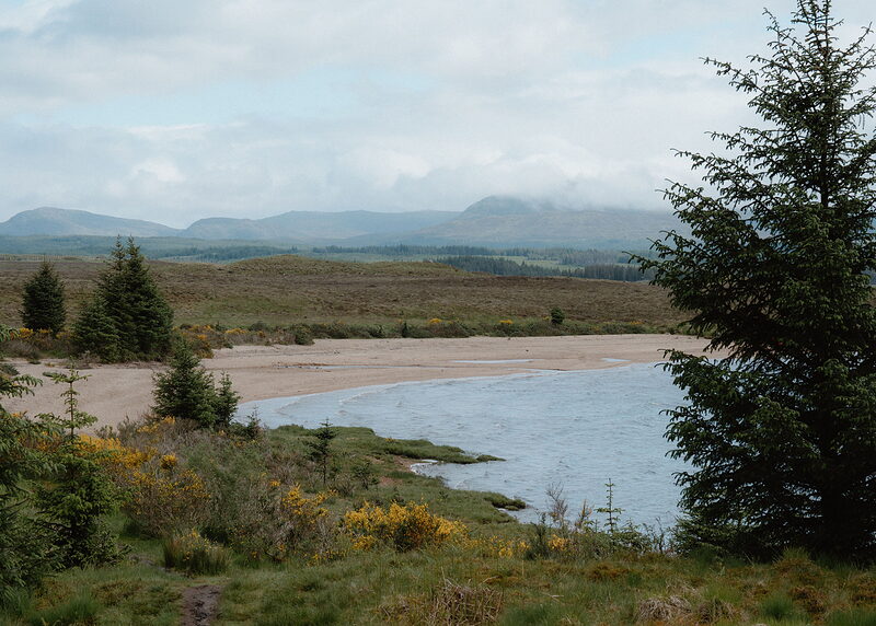 A landscape view of the curving sandy beach and bay framed by a spruce at right, with mountains disappearing into cloud.