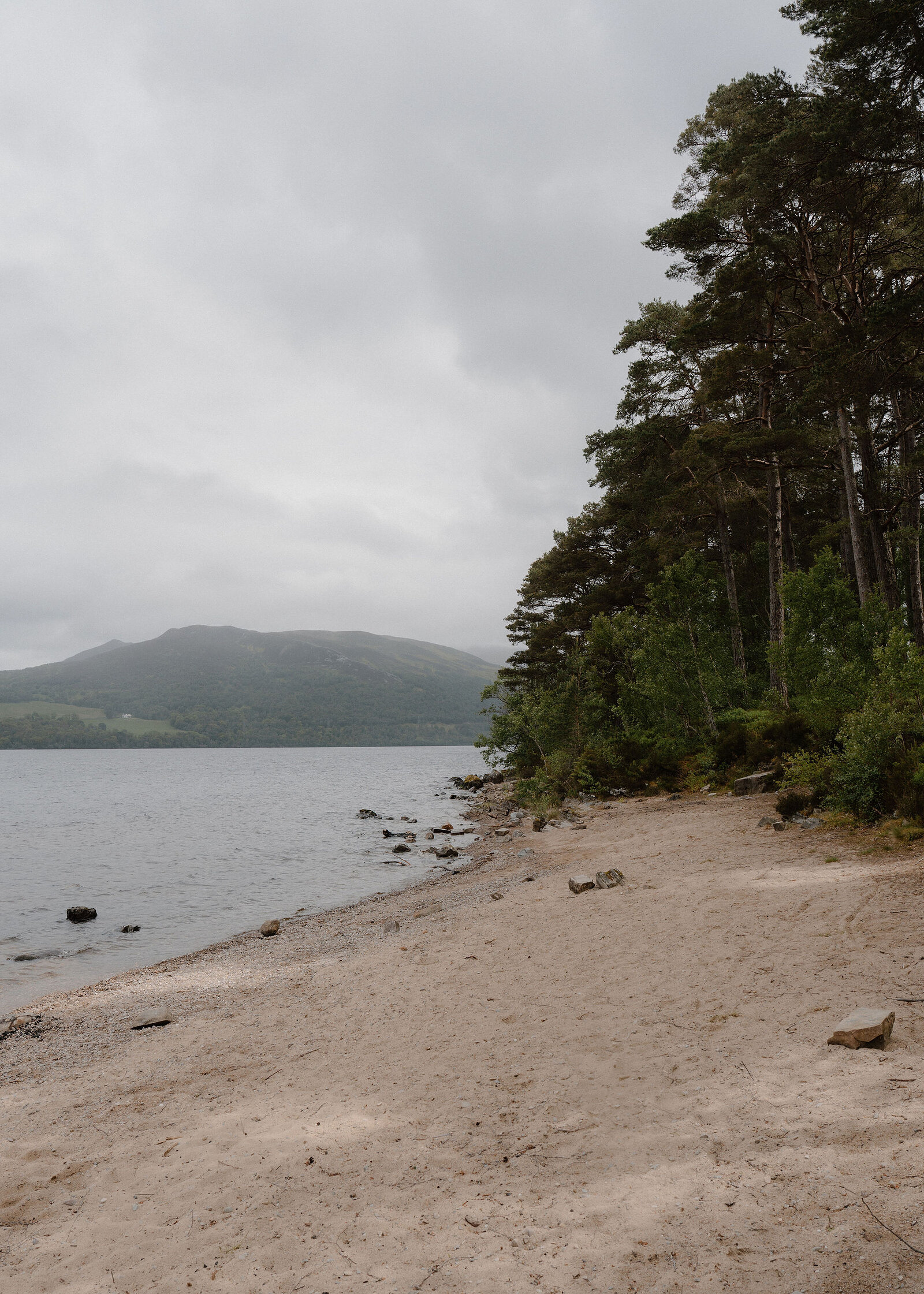 Tall Scots pines lean over a sandy shore scattered with stones, with the loch and a wooded hill under grey cloud at left.