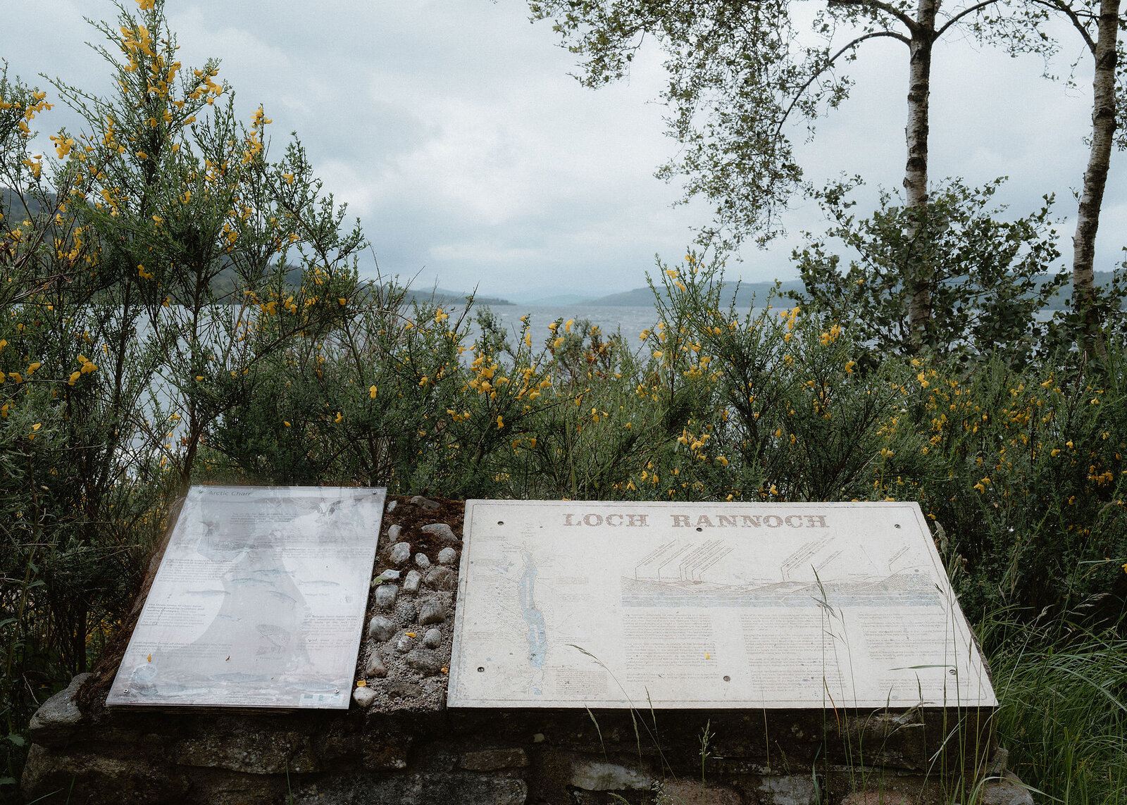 Two weathered interpretation boards, one headed Loch Rannoch with a map, sit on a stone plinth before broom and a view down the loch.