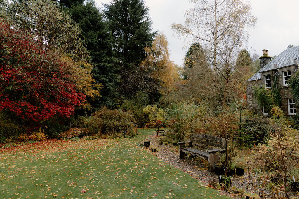 A garden bench set beside a lawn scattered with autumn leaves, a red-leaved shrub and evergreens behind