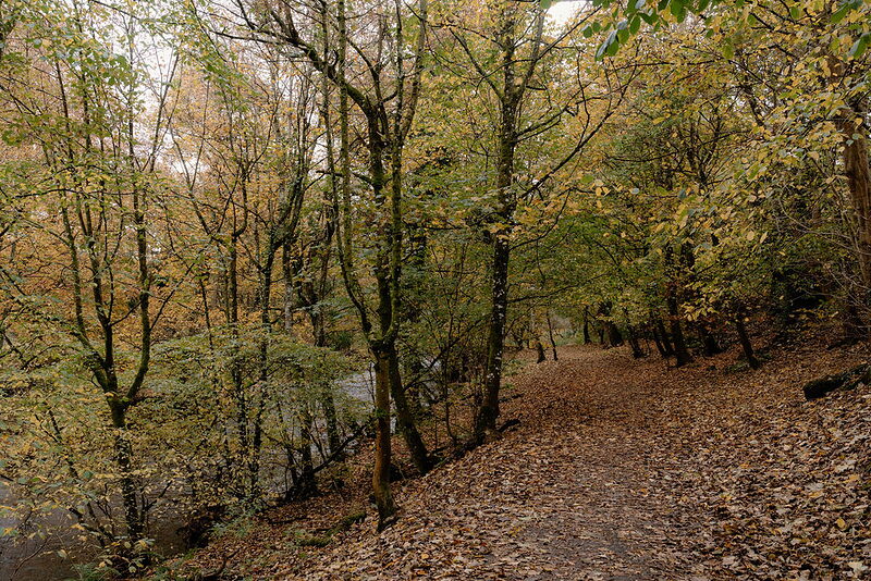 Lady Mary's Walk