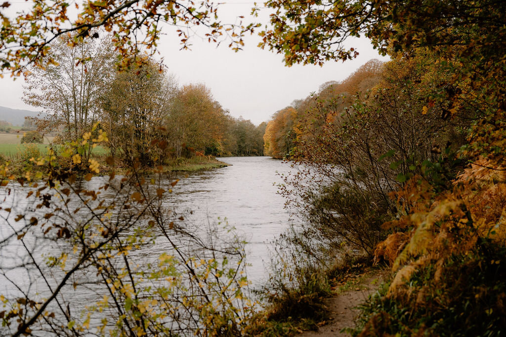 A bend in the river at Wildwoodz, autumn branches framing the water on both banks.