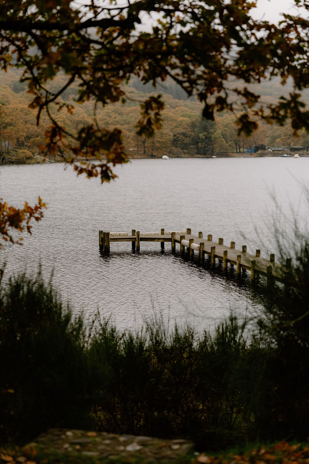 A weathered wooden jetty curves out into a calm loch near Wildwoodz, autumn trees lining the far shore beyond overhanging branches.