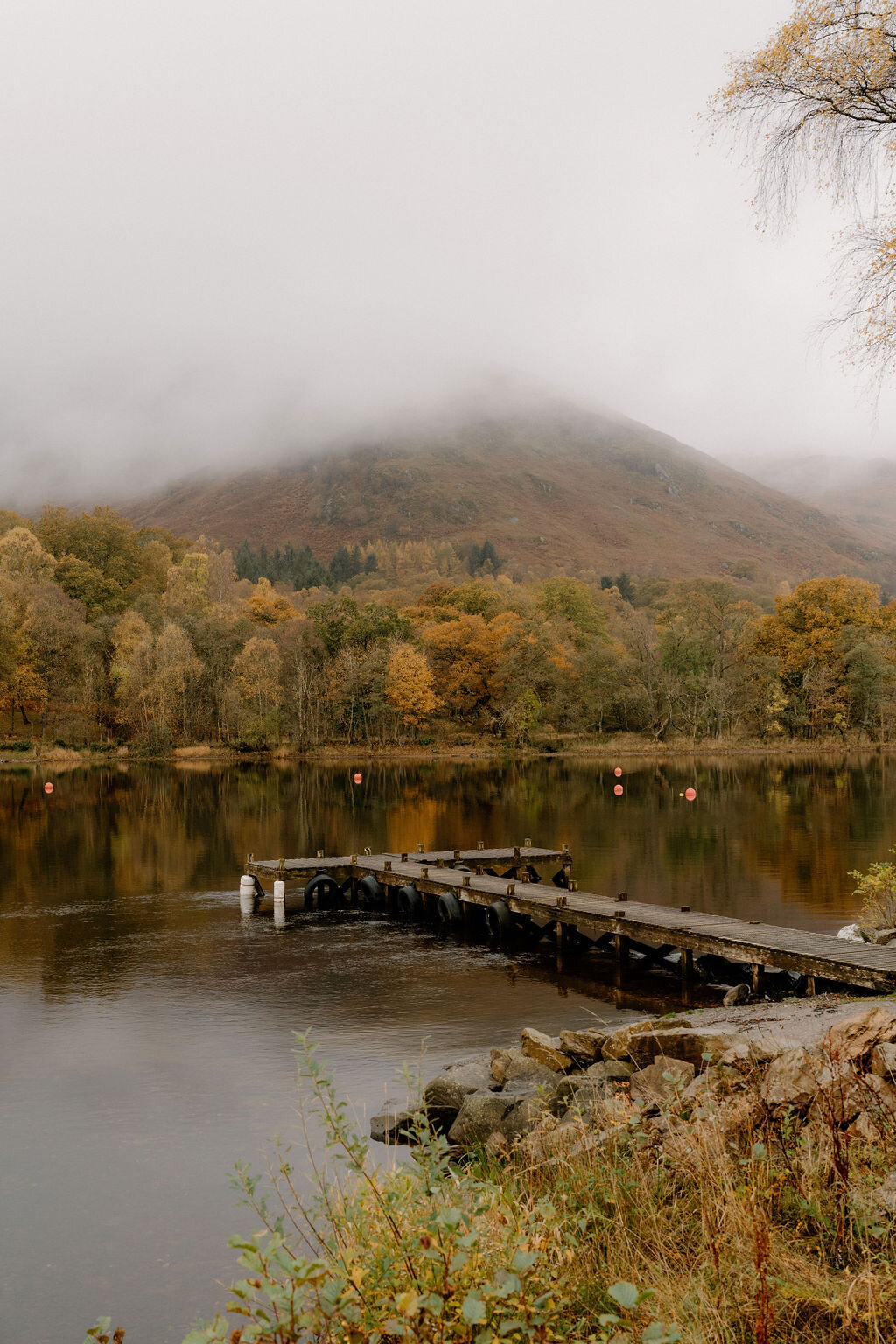A wooden jetty extends into a still loch near Wildwoodz, autumn-coloured trees fading into mist on the far shore.