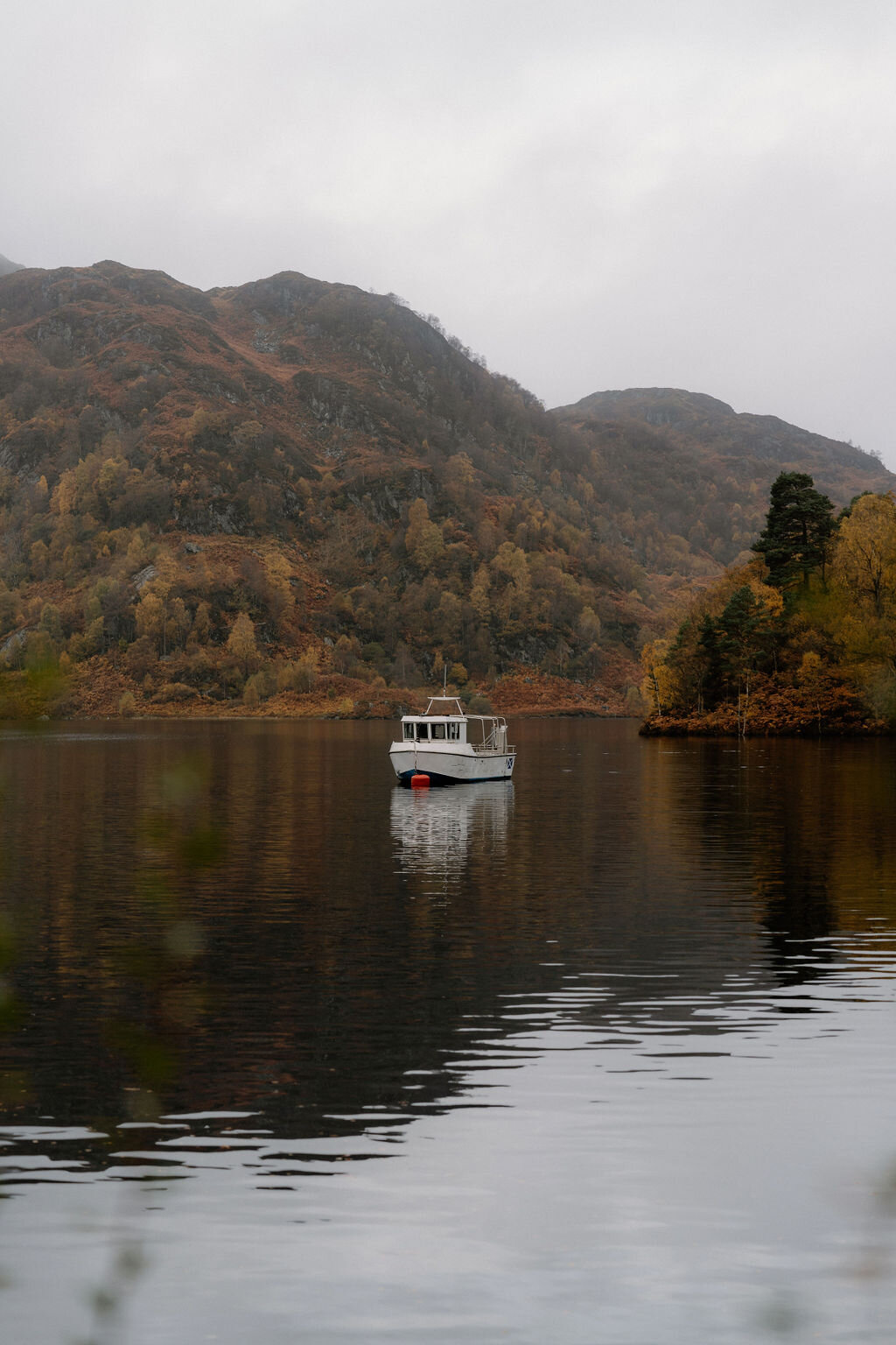 A small tour boat sits on a still loch near Wildwoodz, autumn-coloured hills and trees reflected in the water.